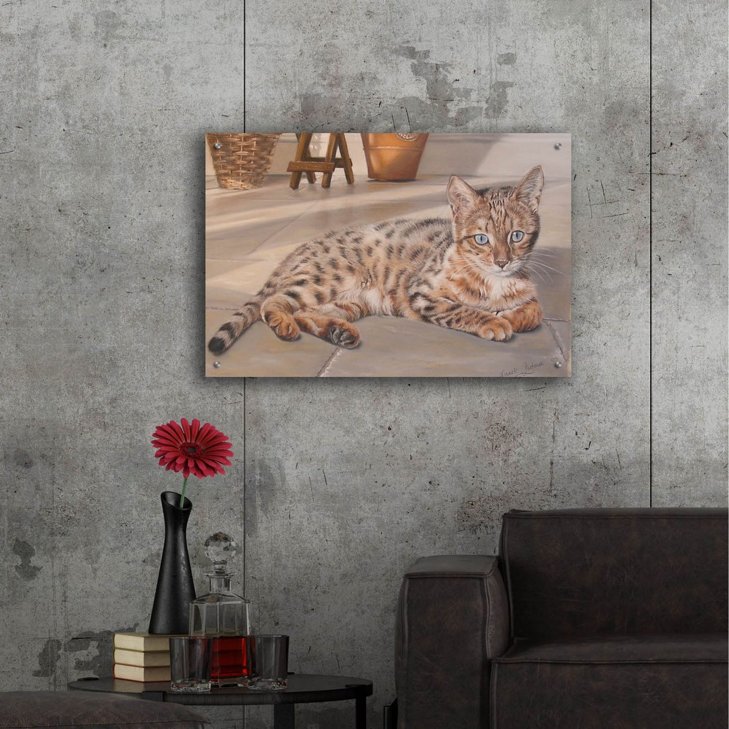 Epic Art 'Bengal Kitten' by Janet Pidoux, Acrylic Glass Wall Art,36x24