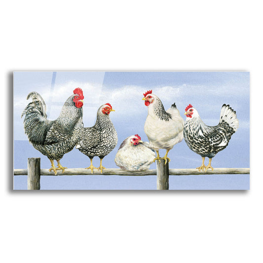 Epic Art 'Black & White Hens 1' by Janet Pidoux, Acrylic Glass Wall Art