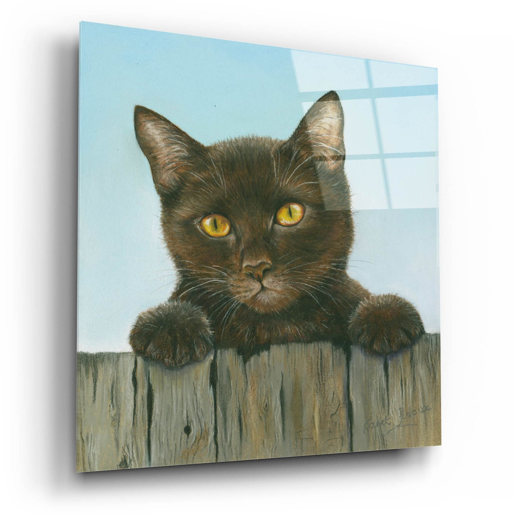 Epic Art 'Black Kitten' by Janet Pidoux, Acrylic Glass Wall Art,12x12