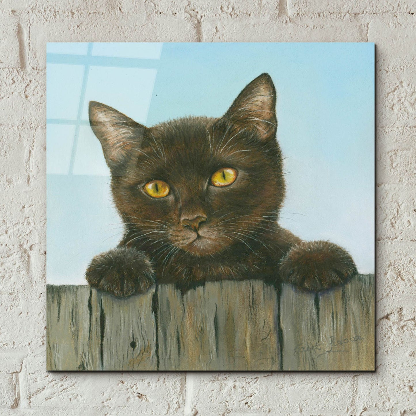 Epic Art 'Black Kitten' by Janet Pidoux, Acrylic Glass Wall Art,12x12