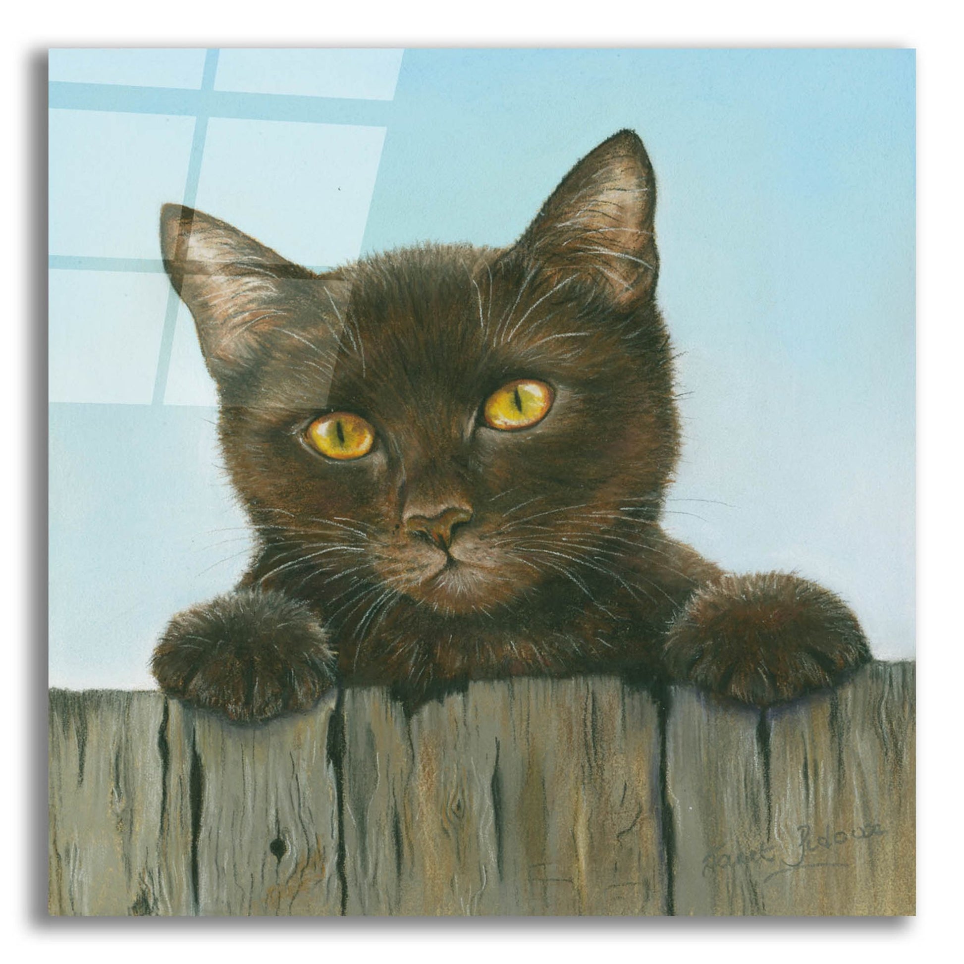 Epic Art 'Black Kitten' by Janet Pidoux, Acrylic Glass Wall Art,12x12