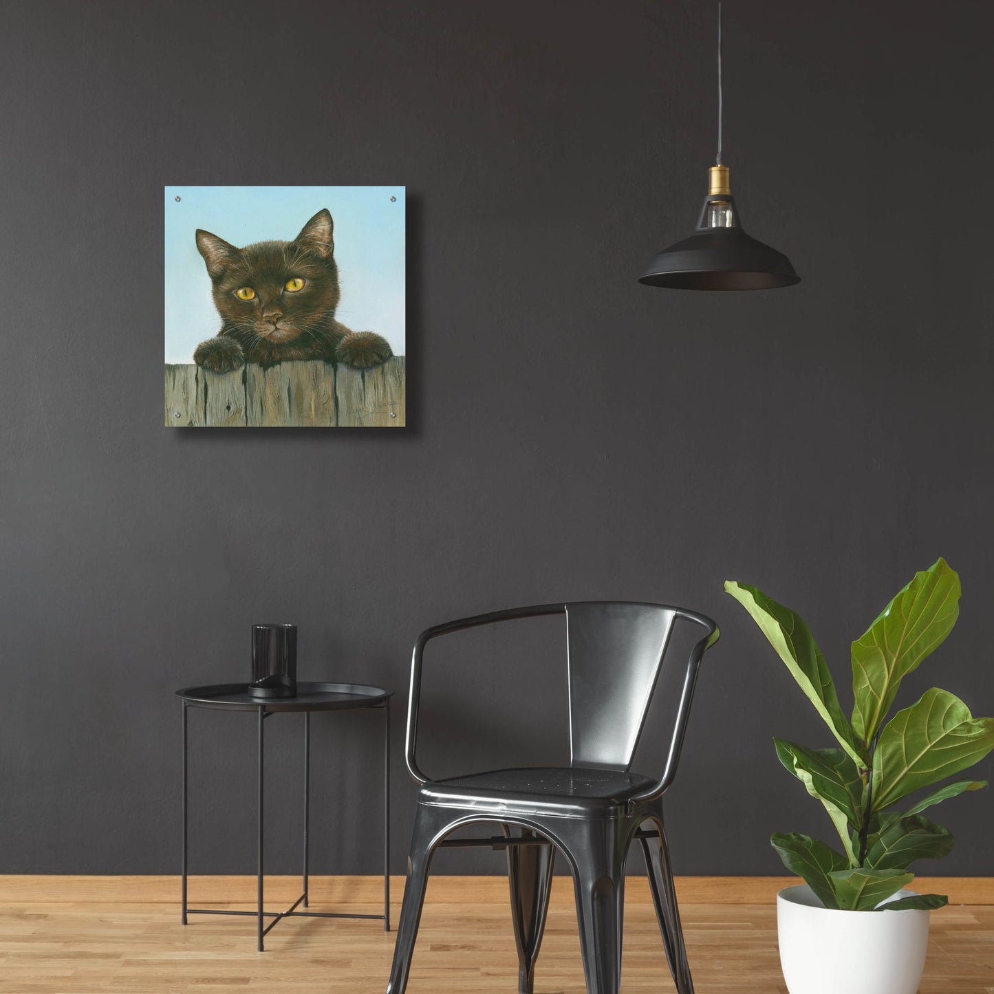 Epic Art 'Black Kitten' by Janet Pidoux, Acrylic Glass Wall Art,24x24