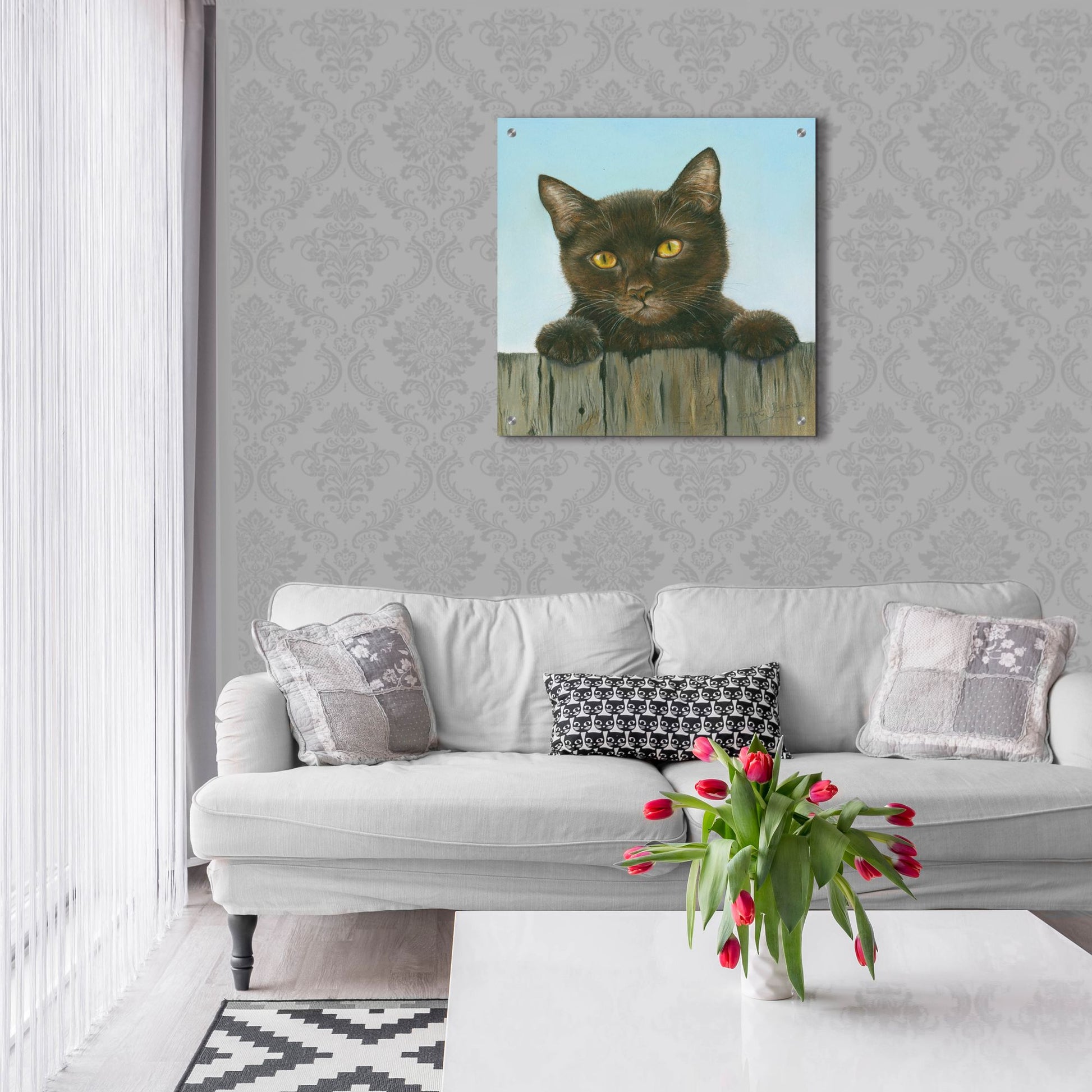 Epic Art 'Black Kitten' by Janet Pidoux, Acrylic Glass Wall Art,24x24