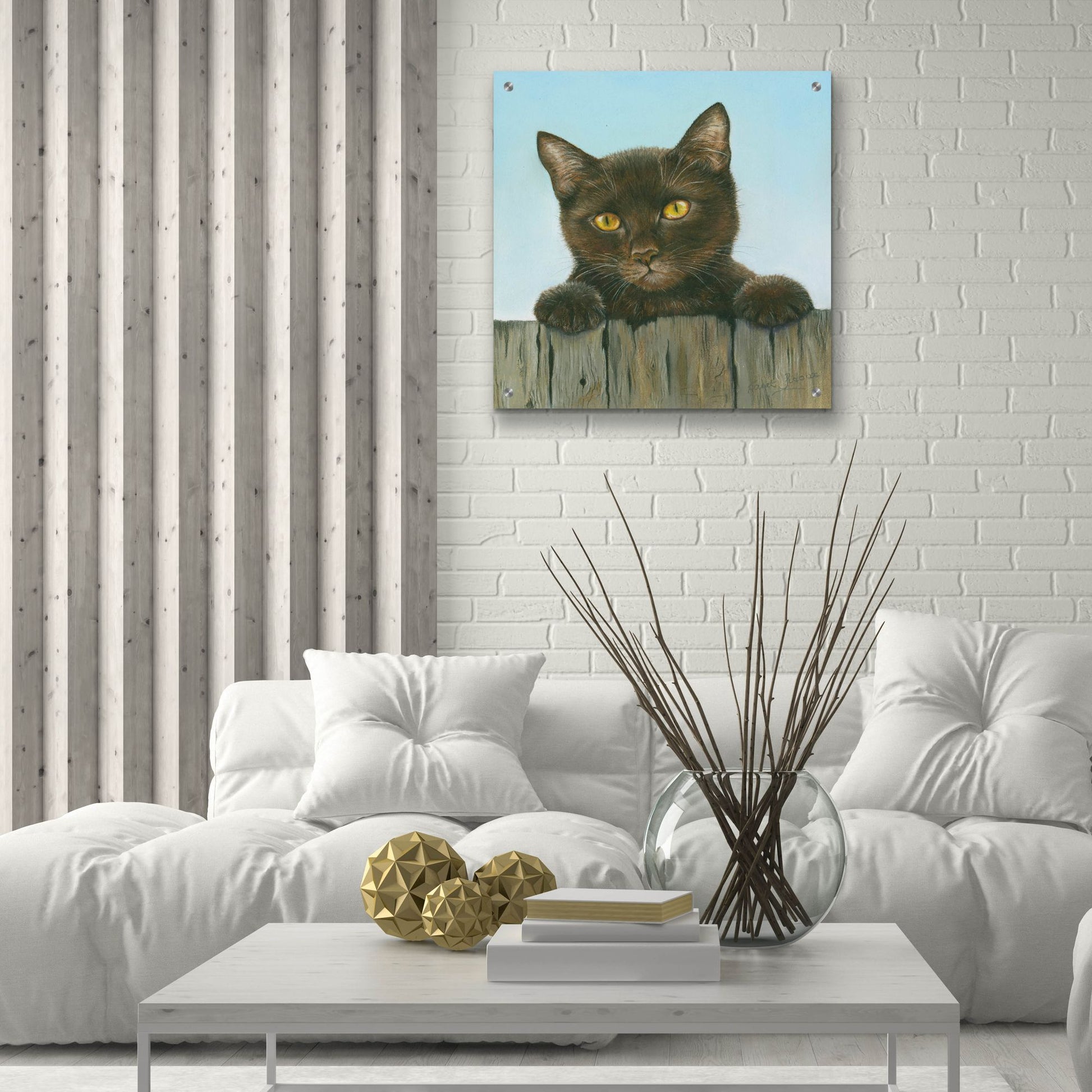 Epic Art 'Black Kitten' by Janet Pidoux, Acrylic Glass Wall Art,24x24