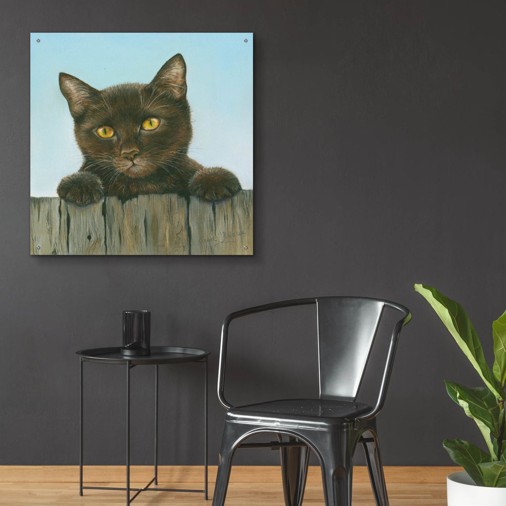 Epic Art 'Black Kitten' by Janet Pidoux, Acrylic Glass Wall Art,36x36