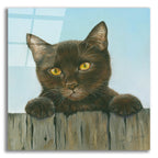 Epic Art 'Black Kitten' by Janet Pidoux, Acrylic Glass Wall Art