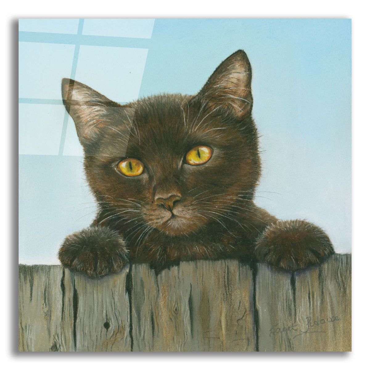 Epic Art 'Black Kitten' by Janet Pidoux, Acrylic Glass Wall Art