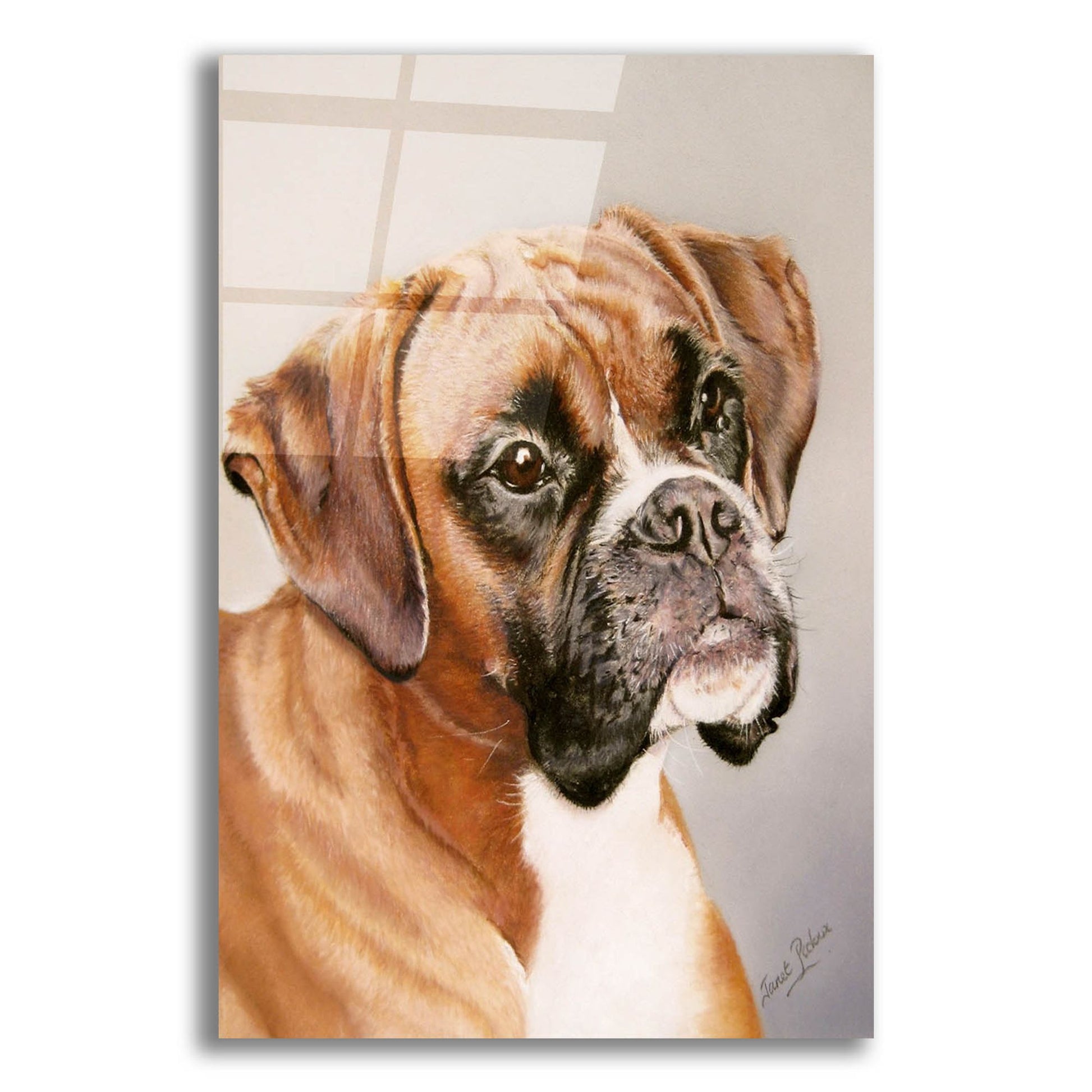 Epic Art 'Boxer' by Janet Pidoux, Acrylic Glass Wall Art,12x16