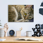 Epic Art 'Bright Eyes' by Janet Pidoux, Acrylic Glass Wall Art,16x12
