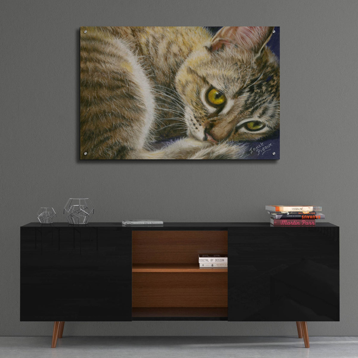 Epic Art 'Bright Eyes' by Janet Pidoux, Acrylic Glass Wall Art,36x24