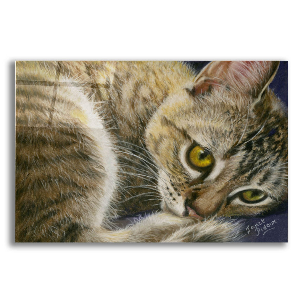 Epic Art 'Bright Eyes' by Janet Pidoux, Acrylic Glass Wall Art