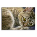 Epic Art 'Bright Eyes' by Janet Pidoux, Acrylic Glass Wall Art