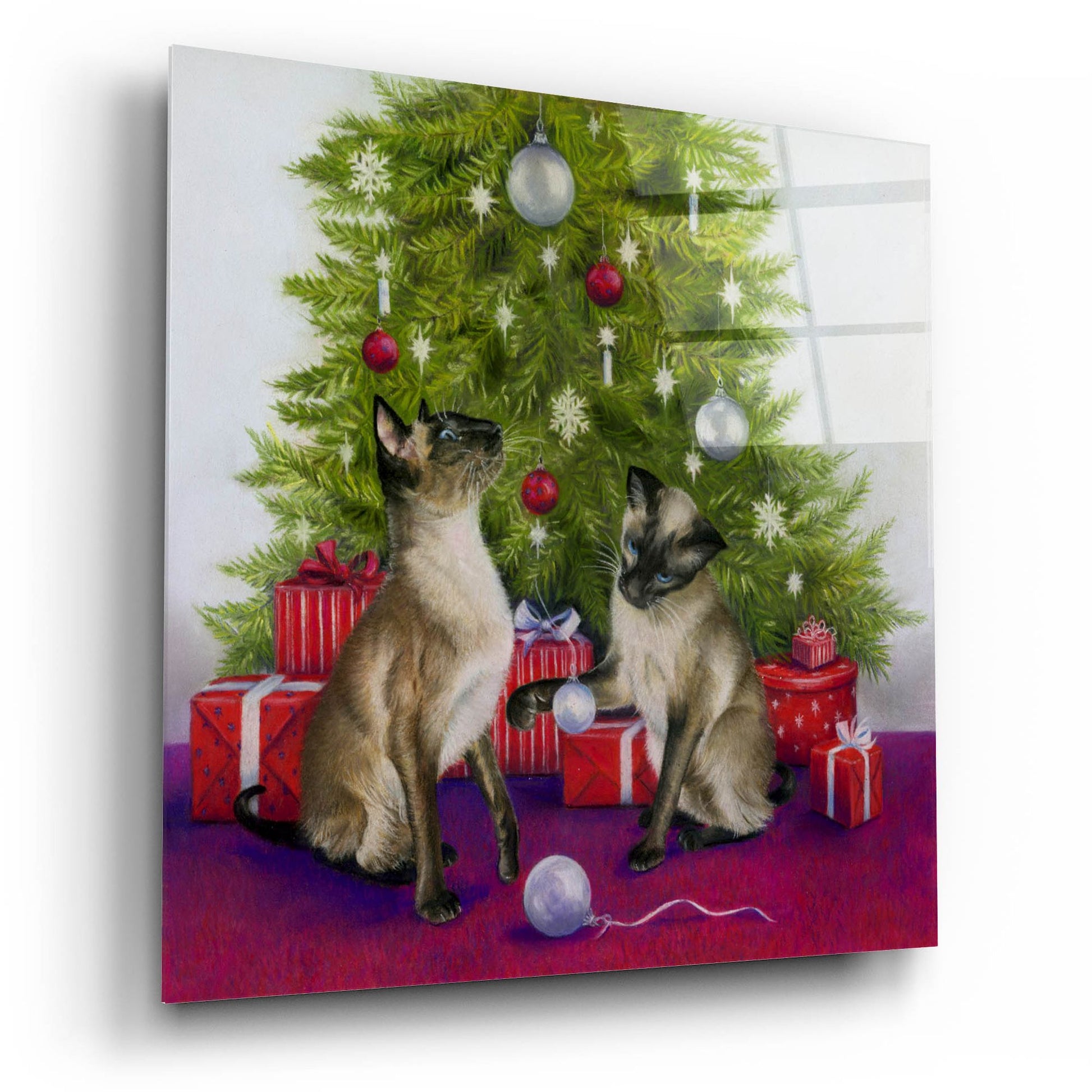 Epic Art 'Christmas Siamese Cats' by Janet Pidoux, Acrylic Glass Wall Art,12x12