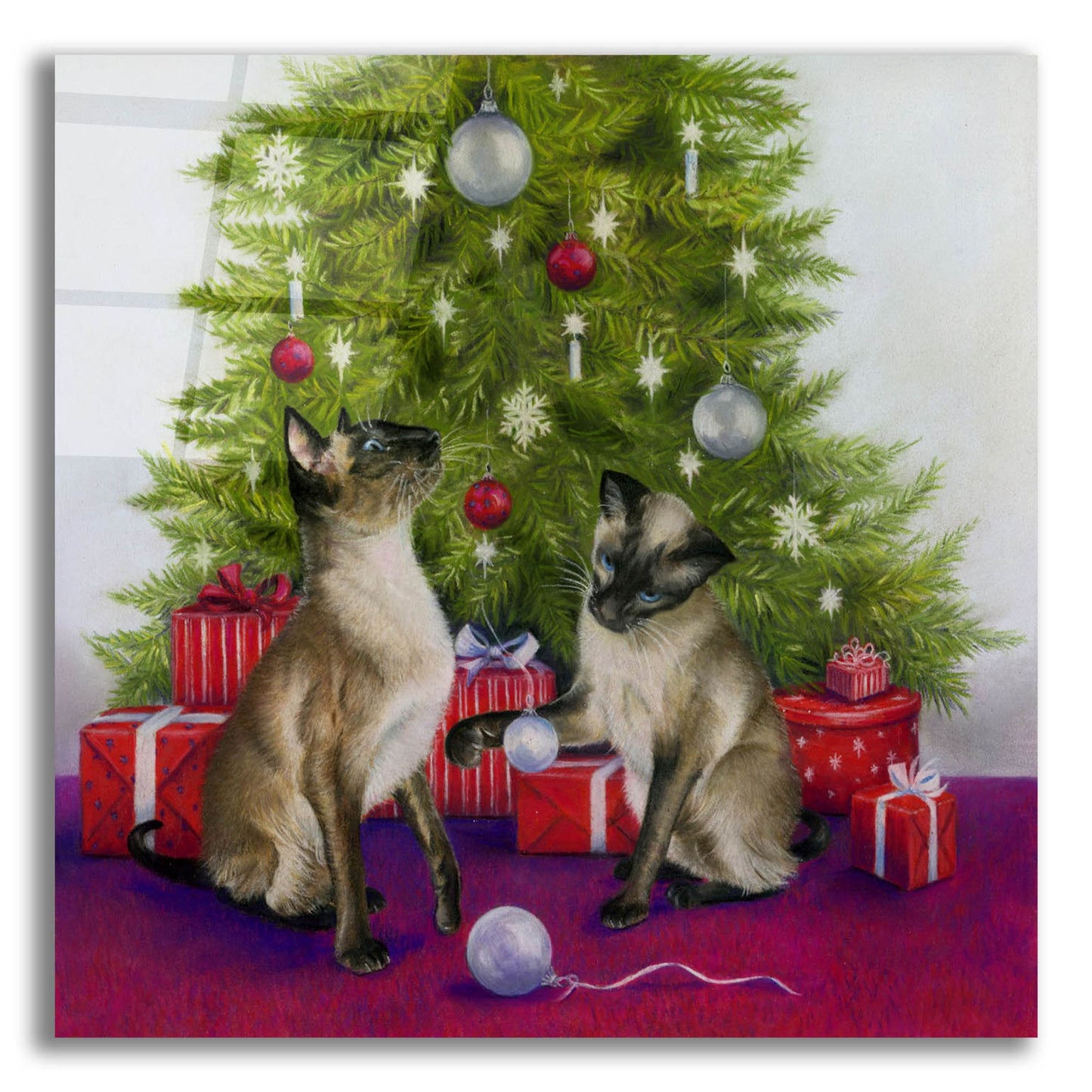 Epic Art 'Christmas Siamese Cats' by Janet Pidoux, Acrylic Glass Wall Art,12x12