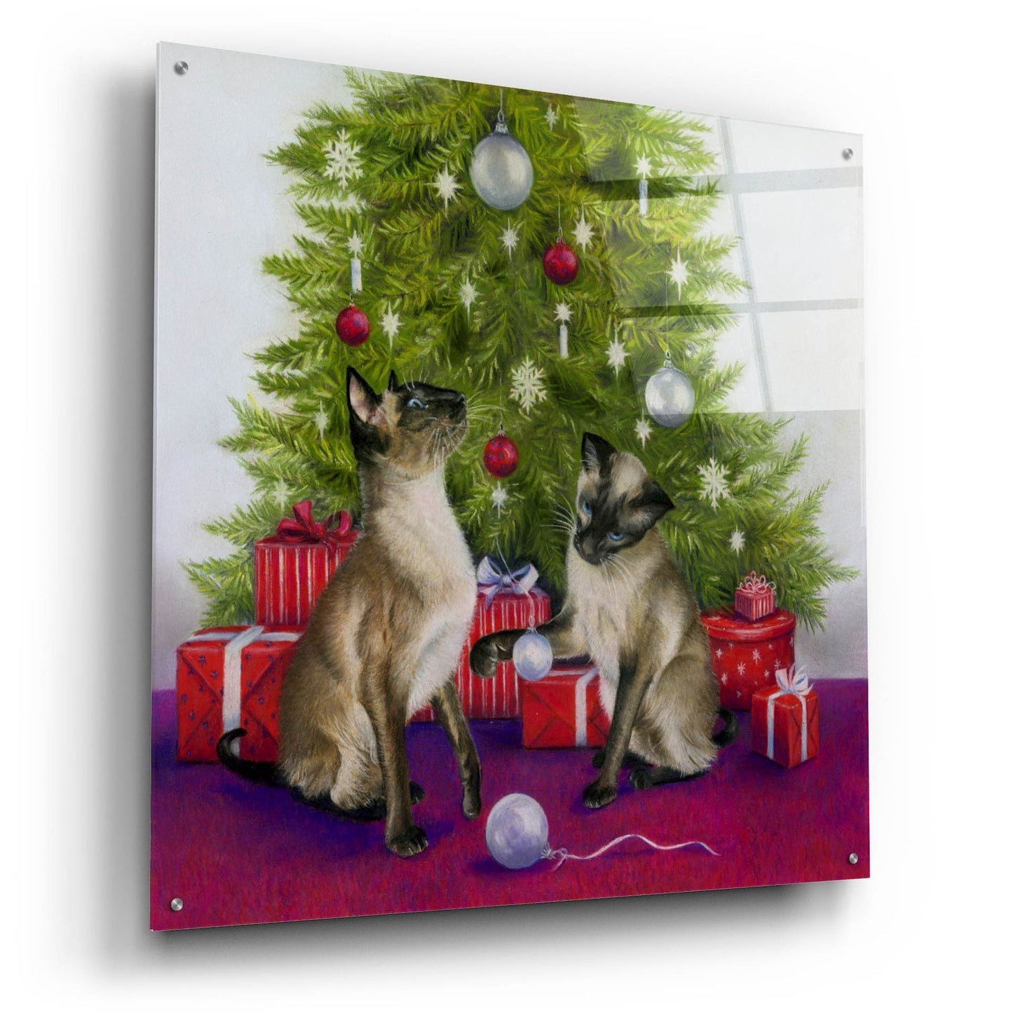 Epic Art 'Christmas Siamese Cats' by Janet Pidoux, Acrylic Glass Wall Art,36x36