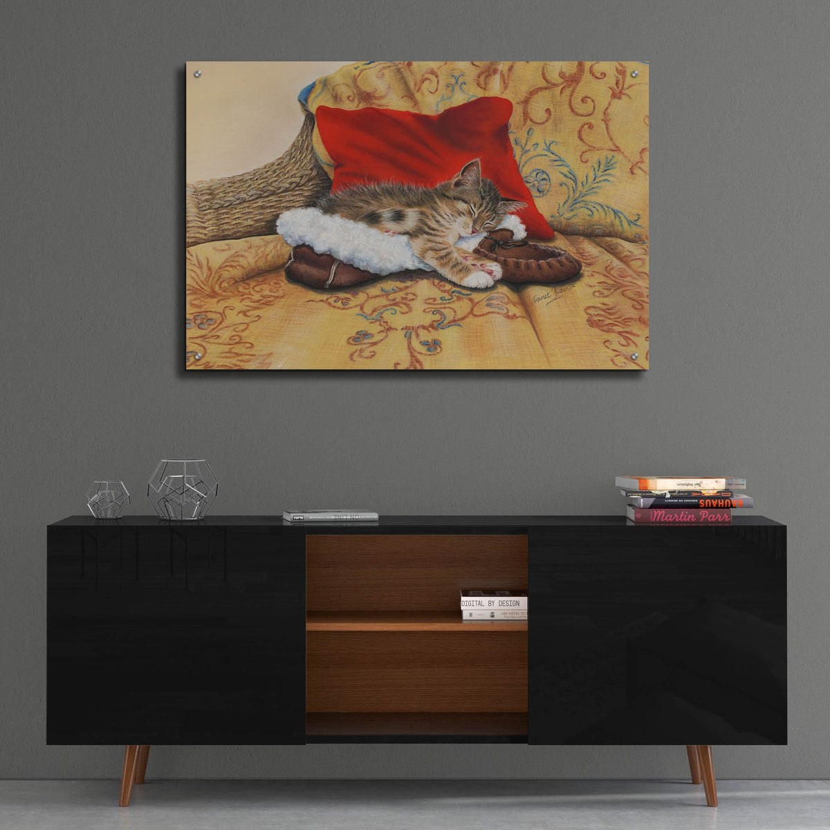 Epic Art 'Comfy Slipper' by Janet Pidoux, Acrylic Glass Wall Art,36x24