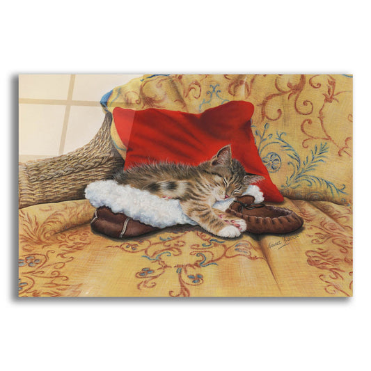 Epic Art 'Comfy Slipper' by Janet Pidoux, Acrylic Glass Wall Art