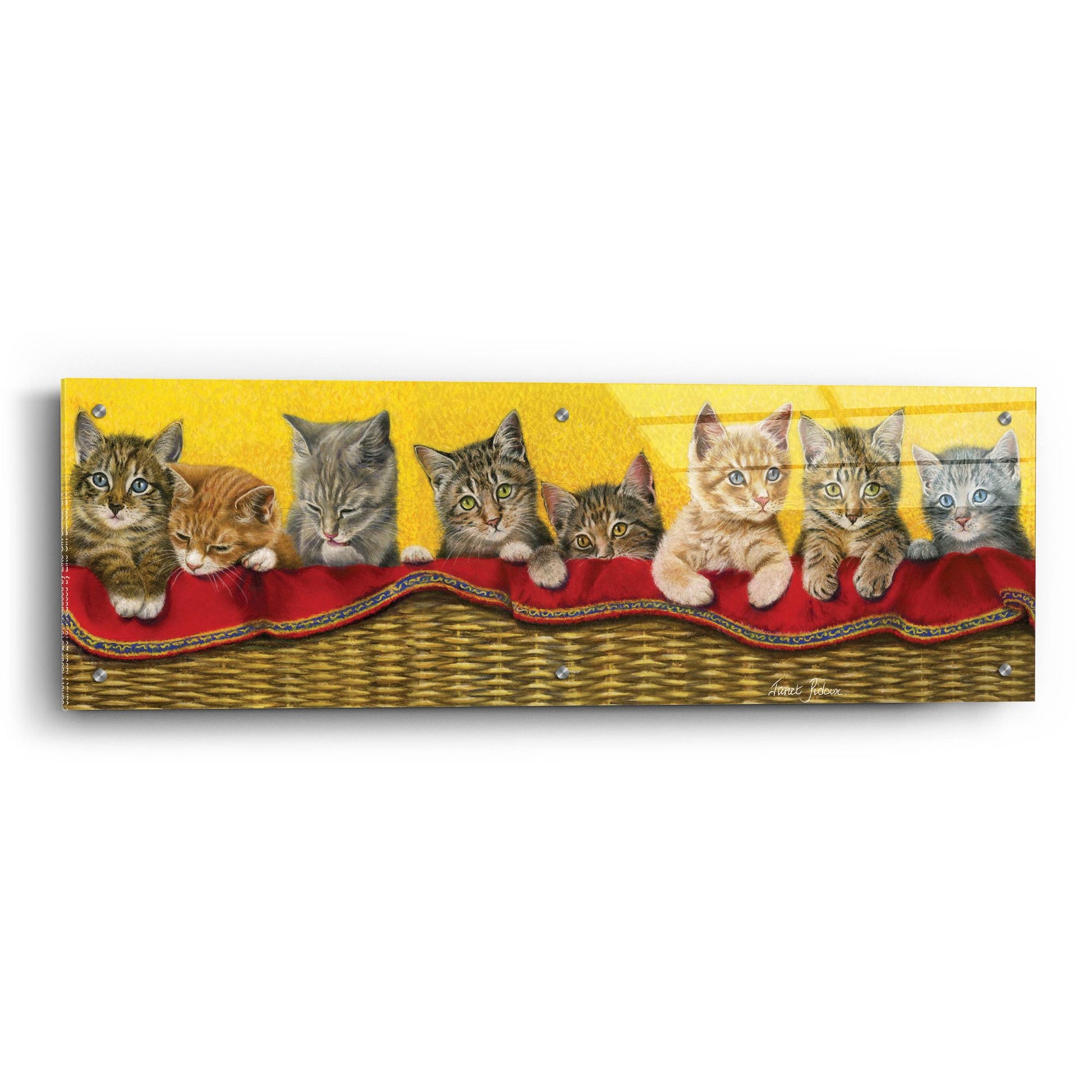 Epic Art 'Eight Kittens In Basket' by Janet Pidoux, Acrylic Glass Wall Art,36x12