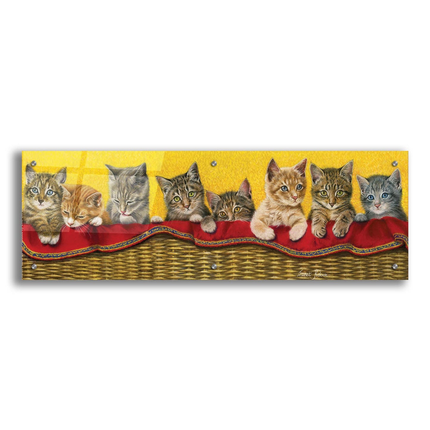 Epic Art 'Eight Kittens In Basket' by Janet Pidoux, Acrylic Glass Wall Art,36x12