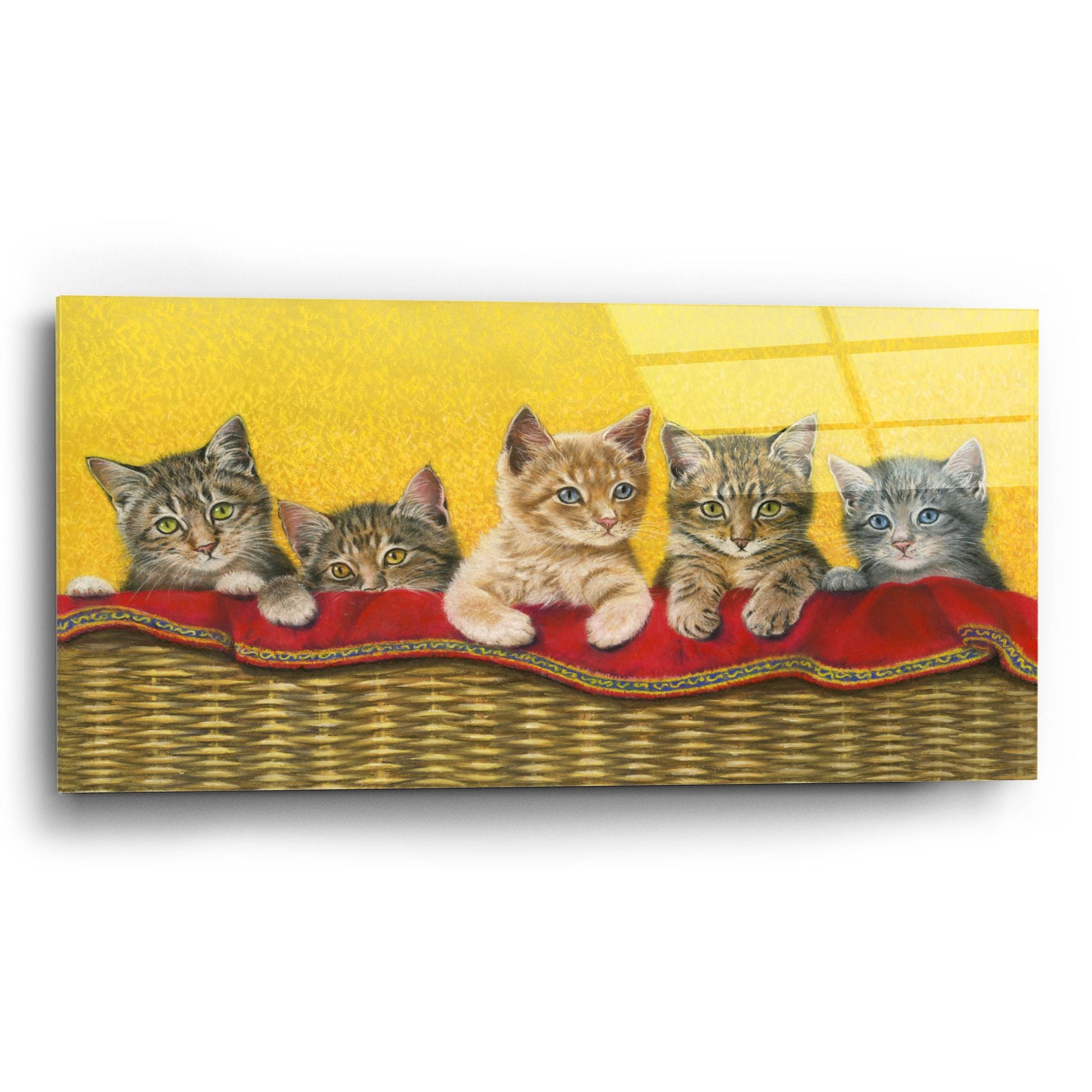 Epic Art 'Five Kittens In Basket' by Janet Pidoux, Acrylic Glass Wall Art,24x12