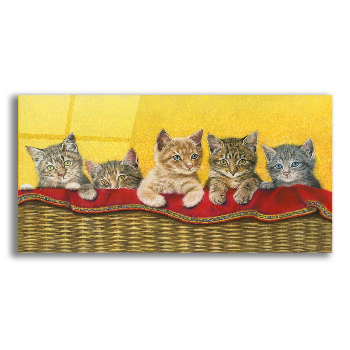 Epic Art 'Five Kittens In Basket' by Janet Pidoux, Acrylic Glass Wall Art,24x12