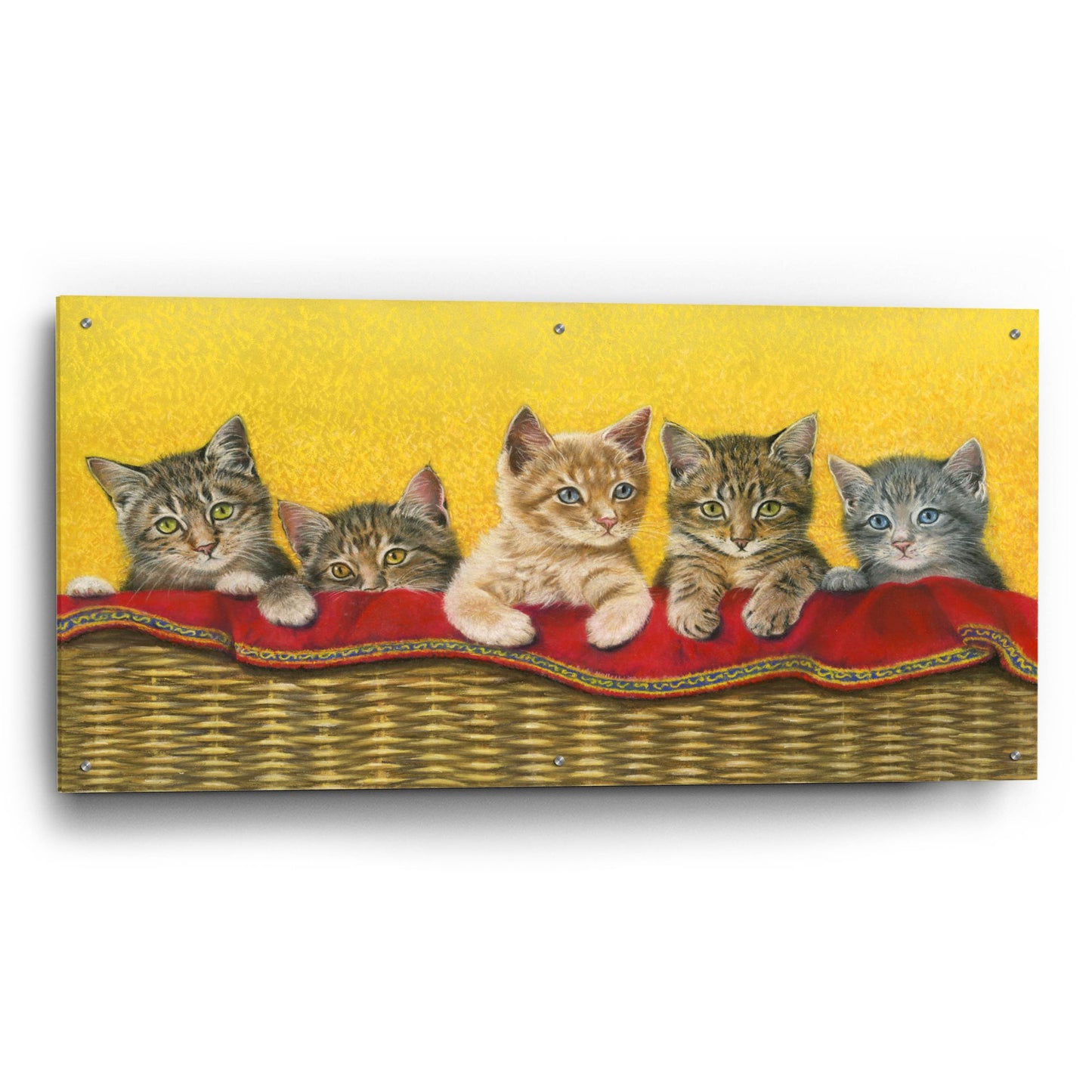 Epic Art 'Five Kittens In Basket' by Janet Pidoux, Acrylic Glass Wall Art,48x24