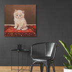 Epic Art 'Fluffy' by Janet Pidoux, Acrylic Glass Wall Art,36x36