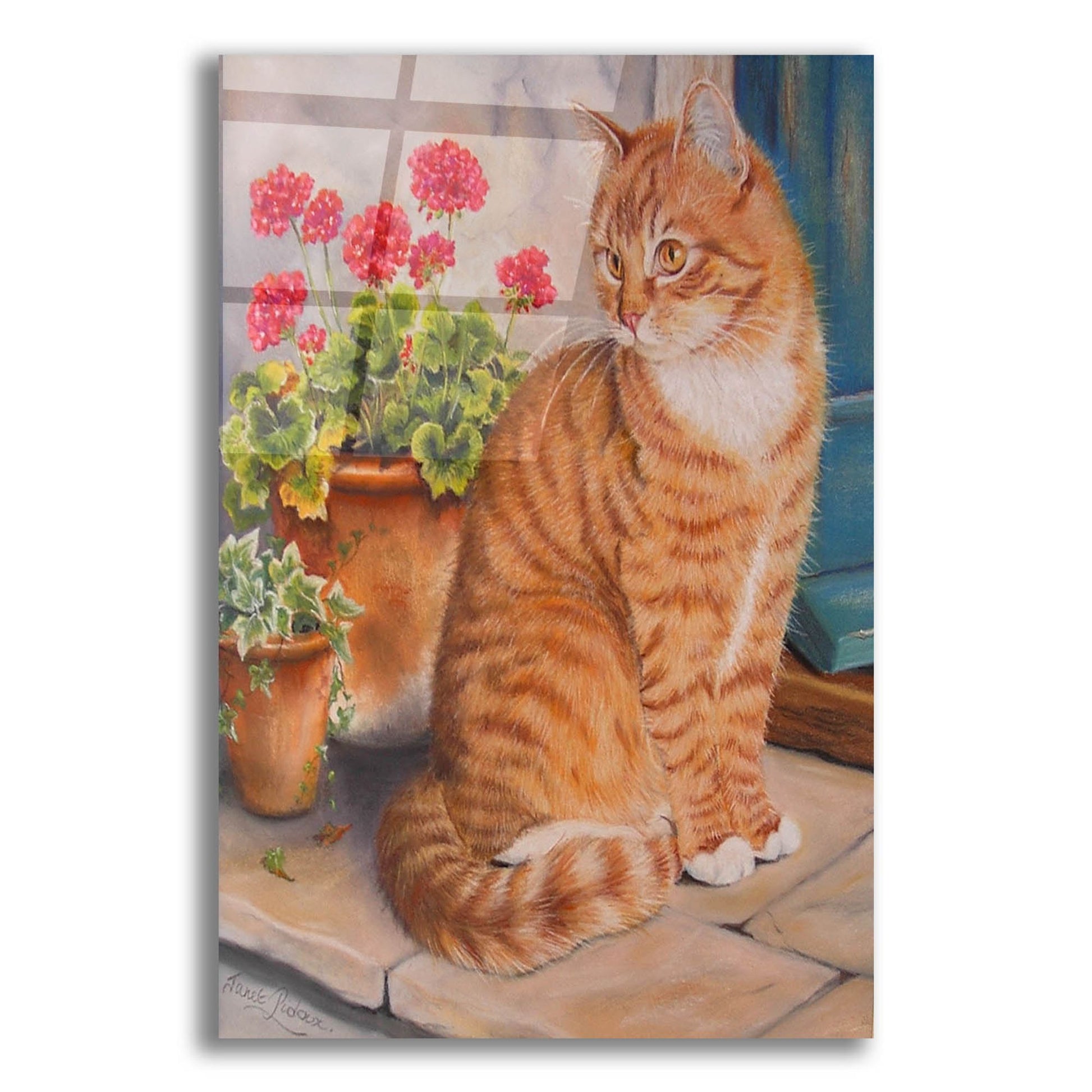 Epic Art 'Ginger Cat On Doorstep' by Janet Pidoux, Acrylic Glass Wall Art,12x16