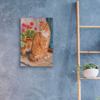 Epic Art 'Ginger Cat On Doorstep' by Janet Pidoux, Acrylic Glass Wall Art,16x24