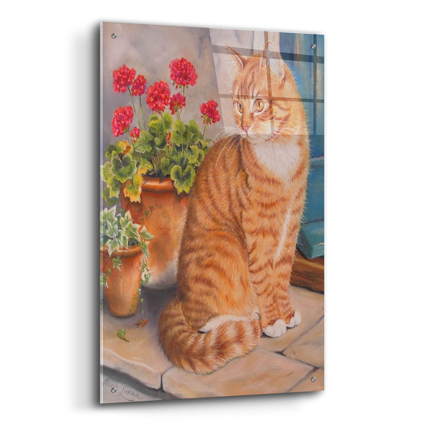 Epic Art 'Ginger Cat On Doorstep' by Janet Pidoux, Acrylic Glass Wall Art,24x36