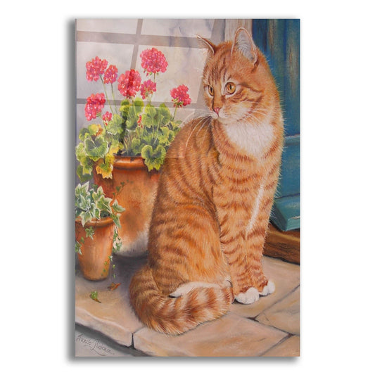 Epic Art 'Ginger Cat On Doorstep' by Janet Pidoux, Acrylic Glass Wall Art