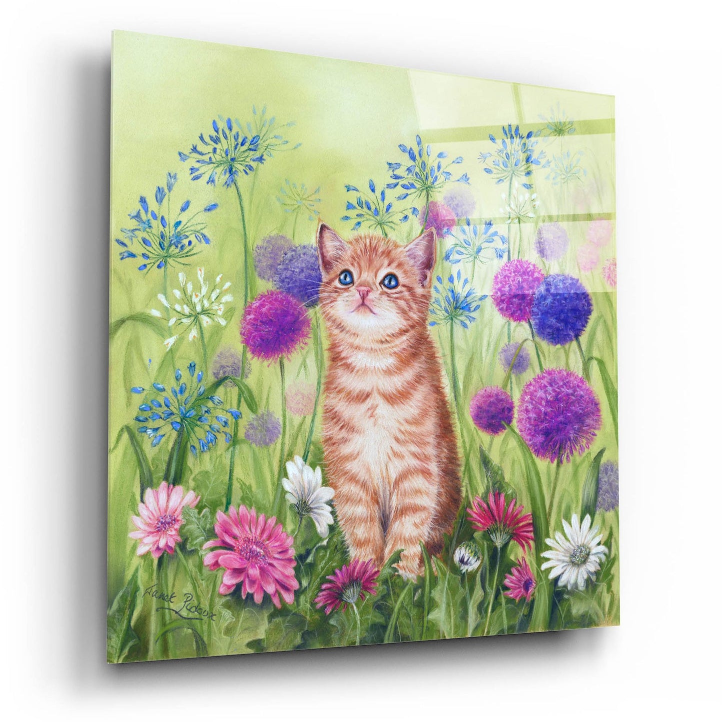 Epic Art 'Ginger Kitten In Flowers' by Janet Pidoux, Acrylic Glass Wall Art,12x12