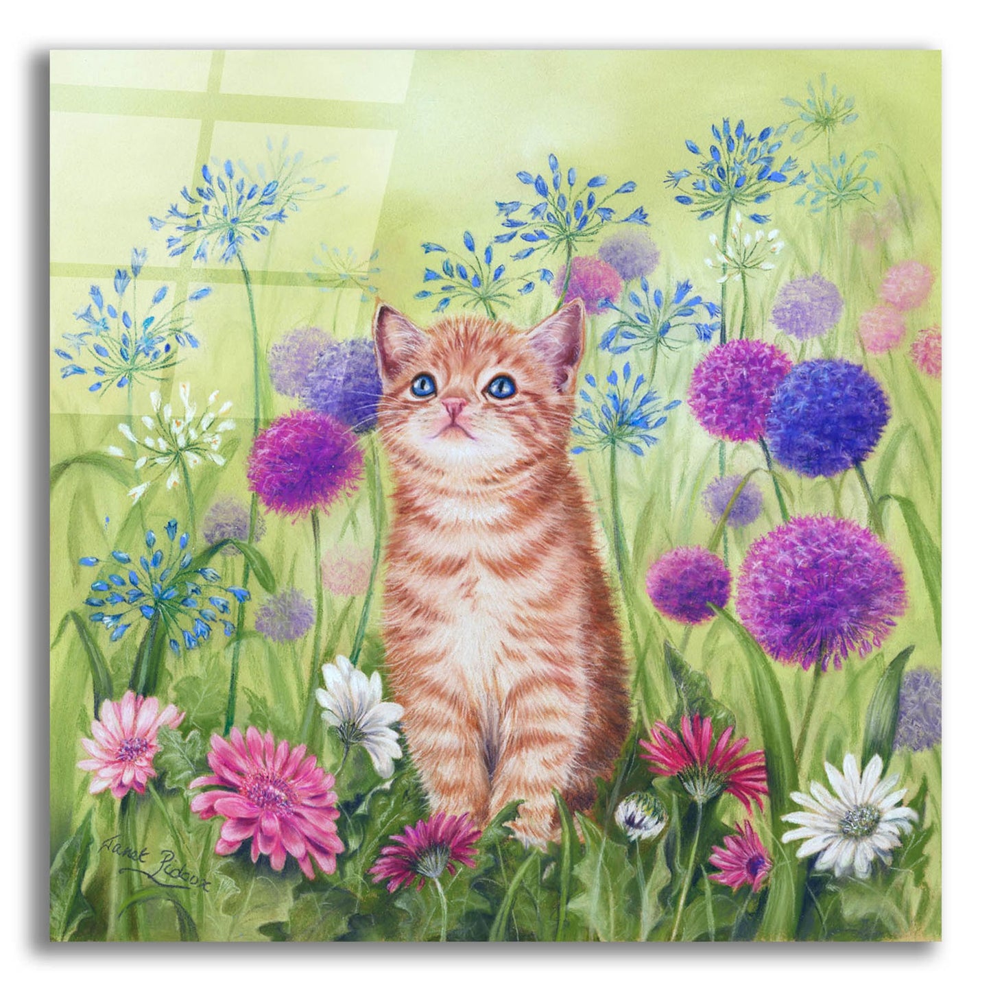 Epic Art 'Ginger Kitten In Flowers' by Janet Pidoux, Acrylic Glass Wall Art,12x12