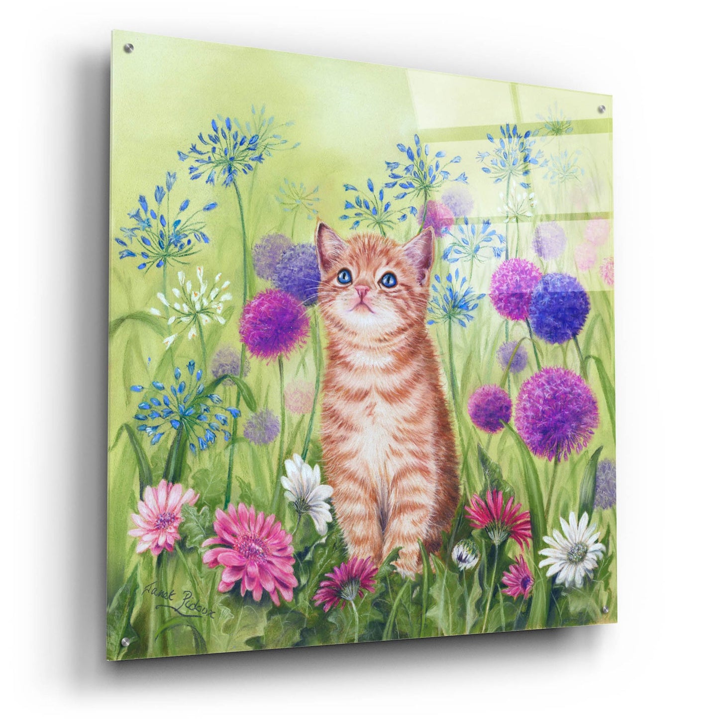 Epic Art 'Ginger Kitten In Flowers' by Janet Pidoux, Acrylic Glass Wall Art,36x36