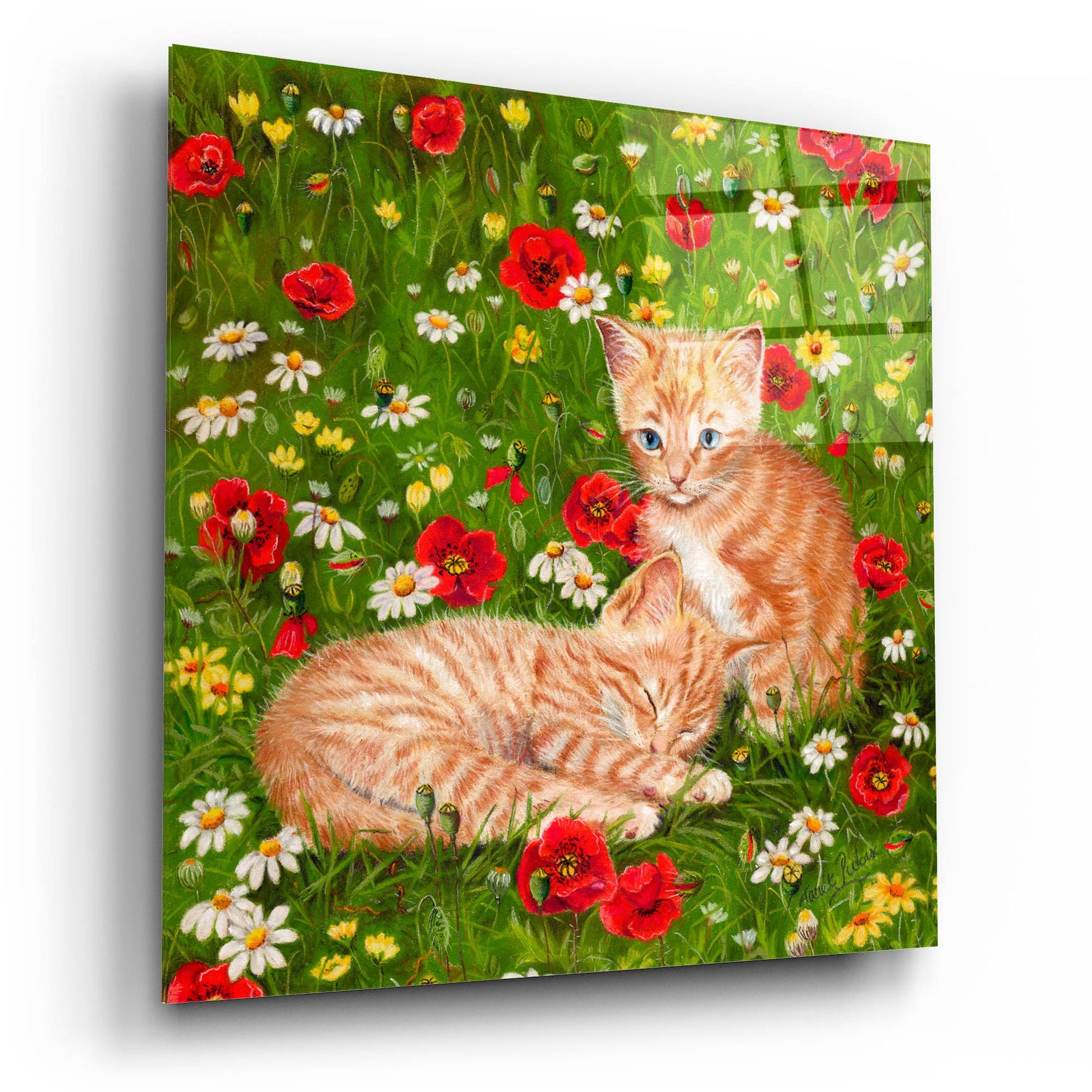 Epic Art 'Ginger Kittens In Red Poppies' by Janet Pidoux, Acrylic Glass Wall Art,12x12