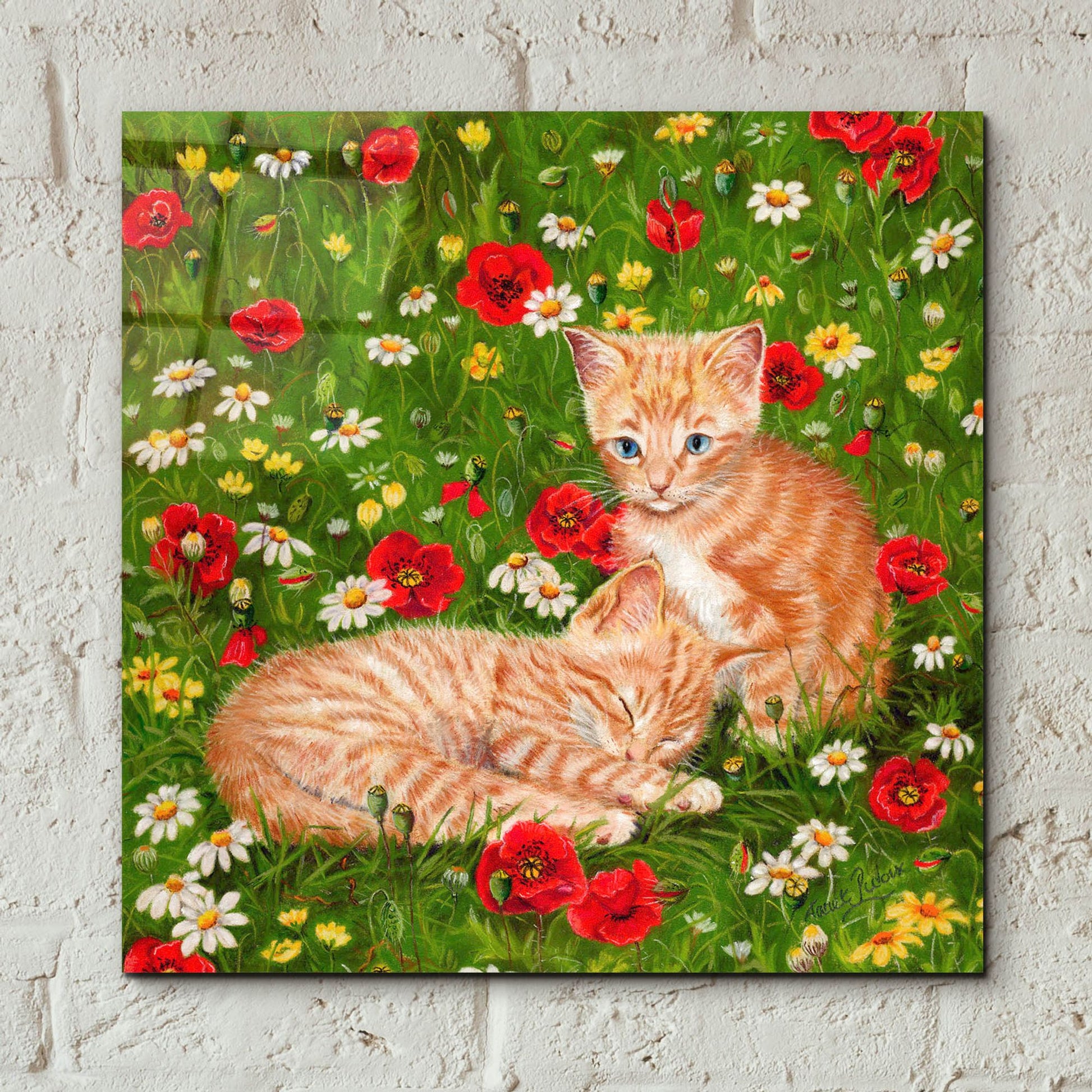 Epic Art 'Ginger Kittens In Red Poppies' by Janet Pidoux, Acrylic Glass Wall Art,12x12