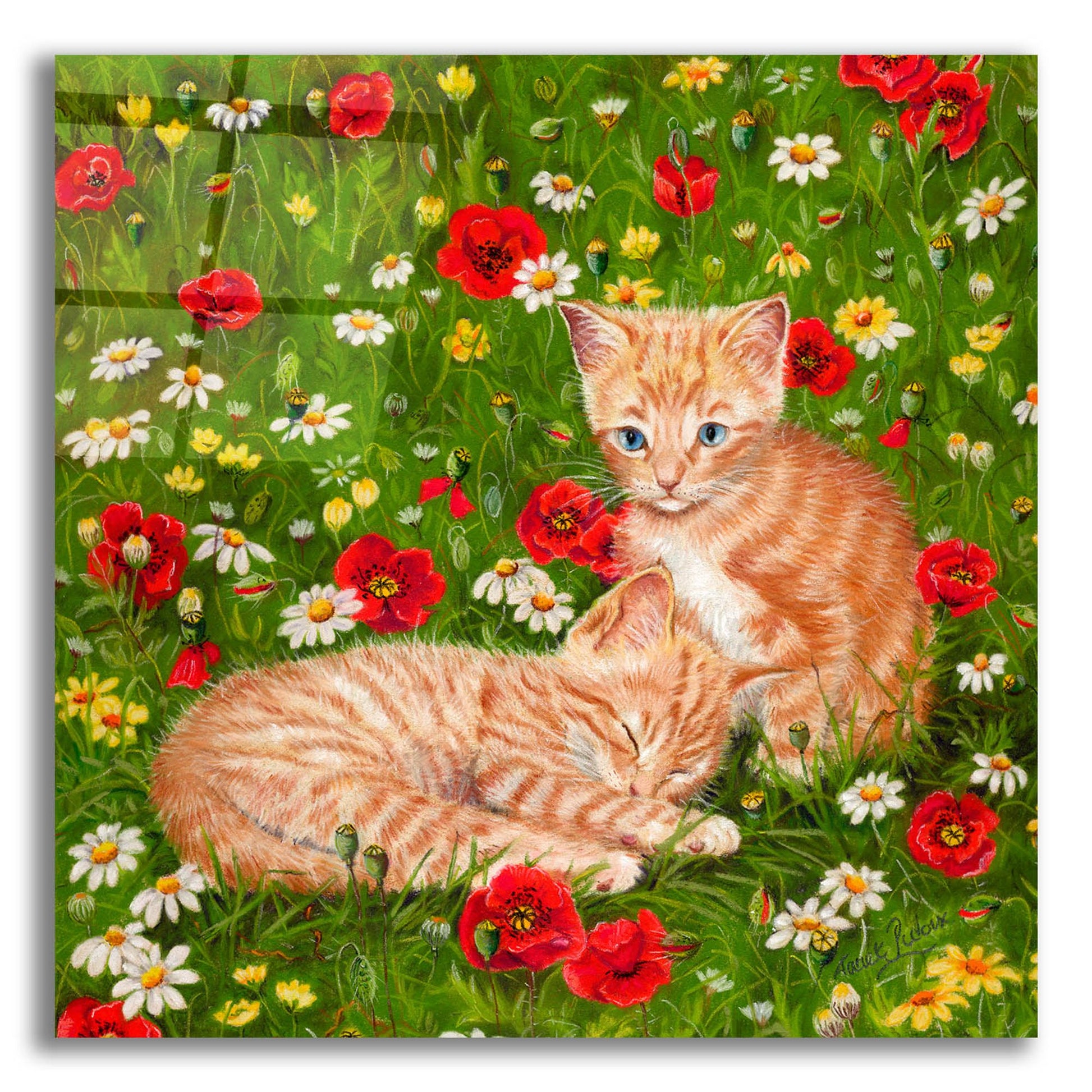 Epic Art 'Ginger Kittens In Red Poppies' by Janet Pidoux, Acrylic Glass Wall Art,12x12