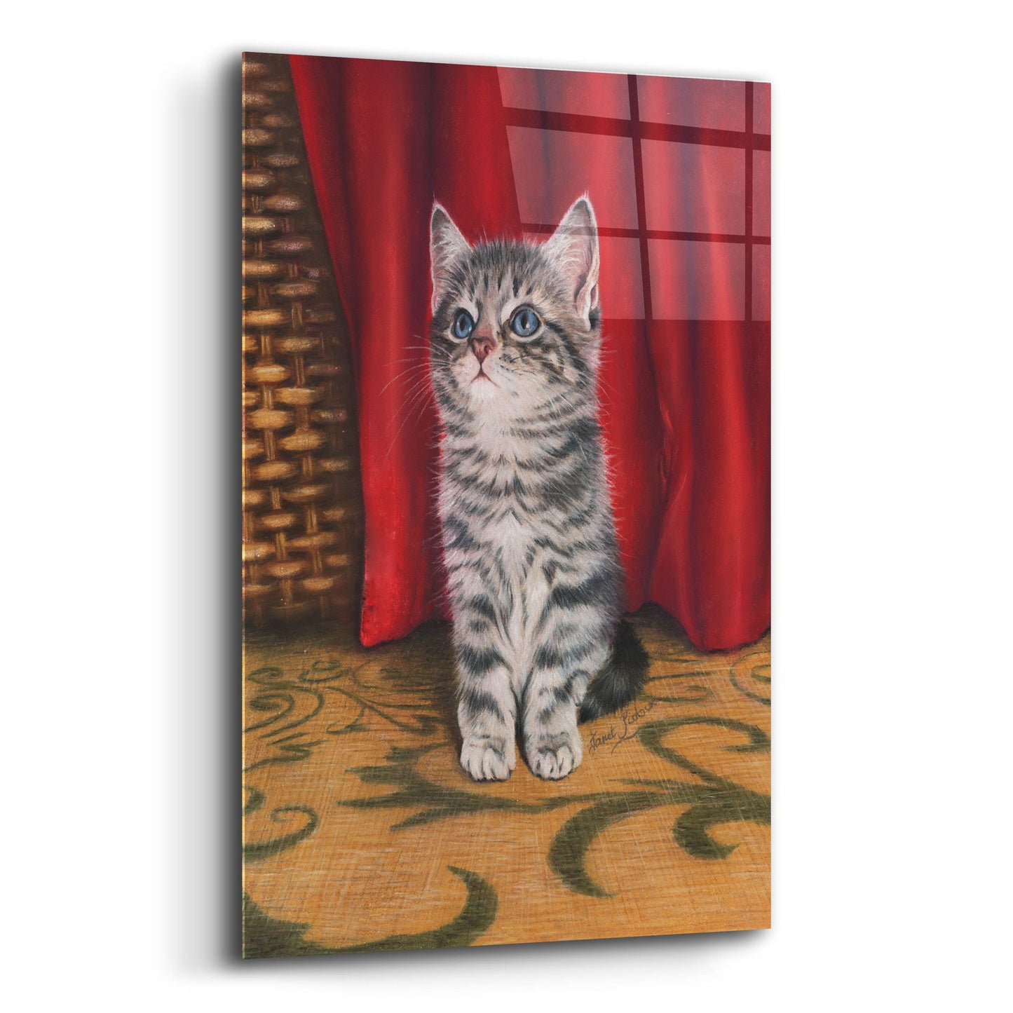 Epic Art 'Grey Kitten And Red Curtain' by Janet Pidoux, Acrylic Glass Wall Art,12x16