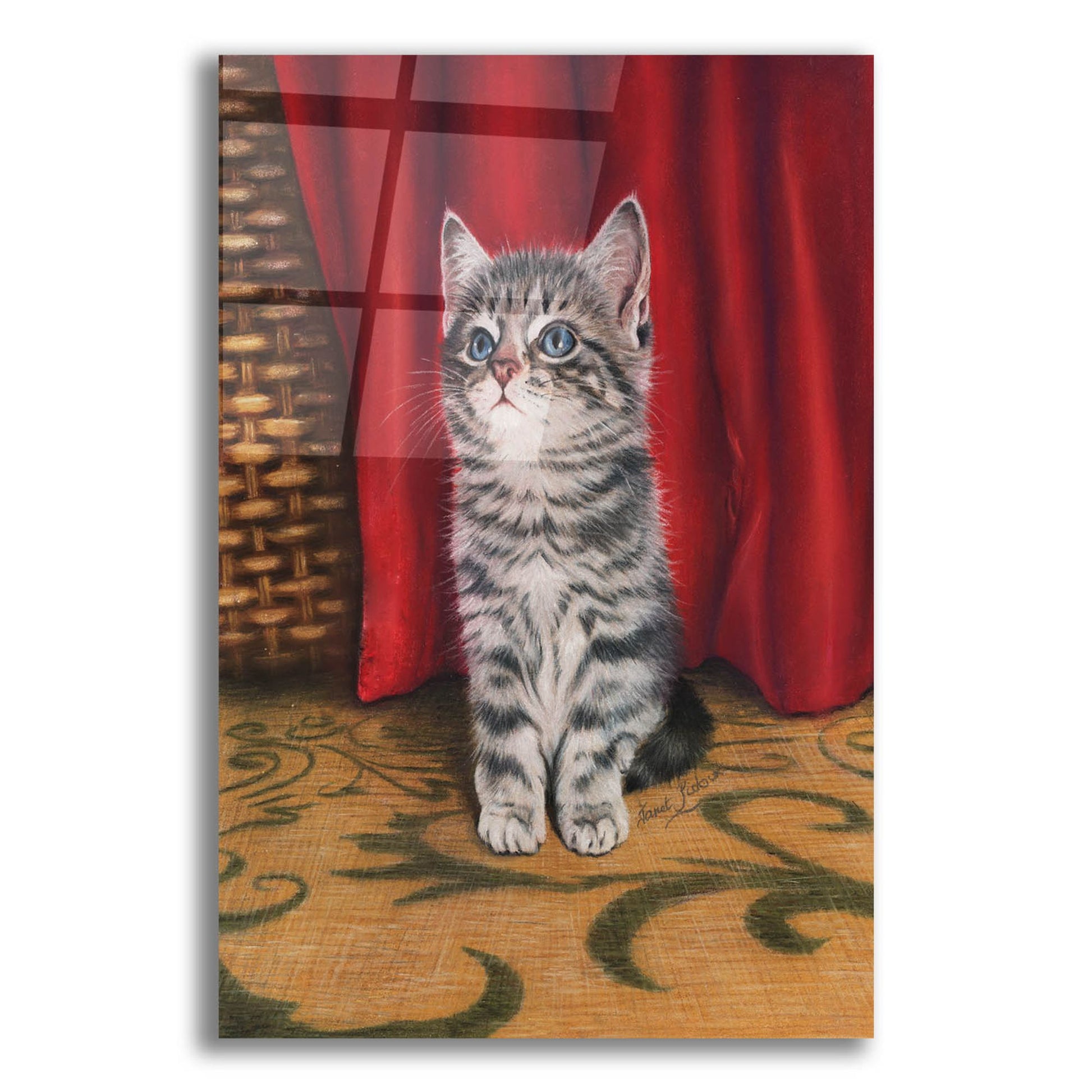 Epic Art 'Grey Kitten And Red Curtain' by Janet Pidoux, Acrylic Glass Wall Art,12x16