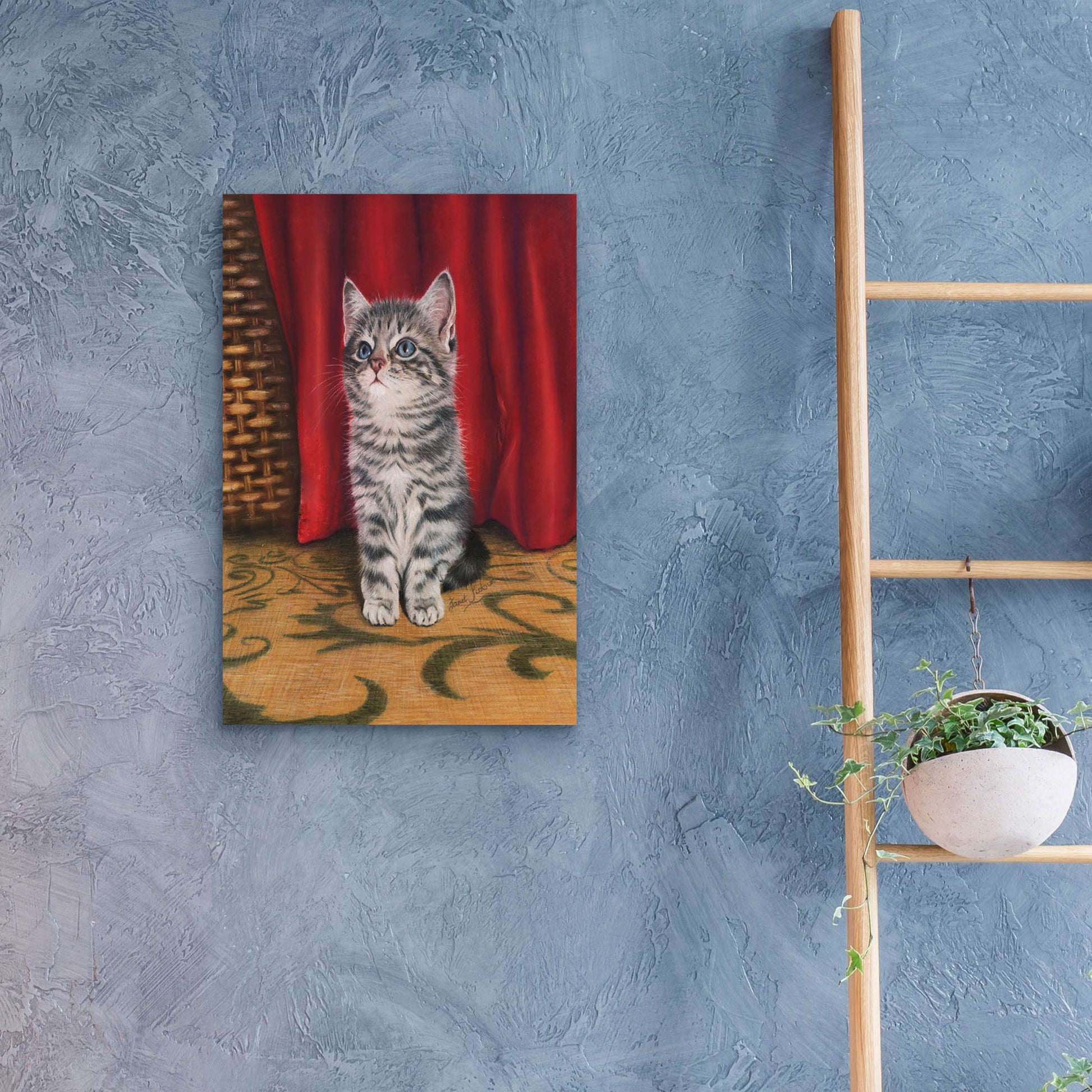 Epic Art 'Grey Kitten And Red Curtain' by Janet Pidoux, Acrylic Glass Wall Art,16x24