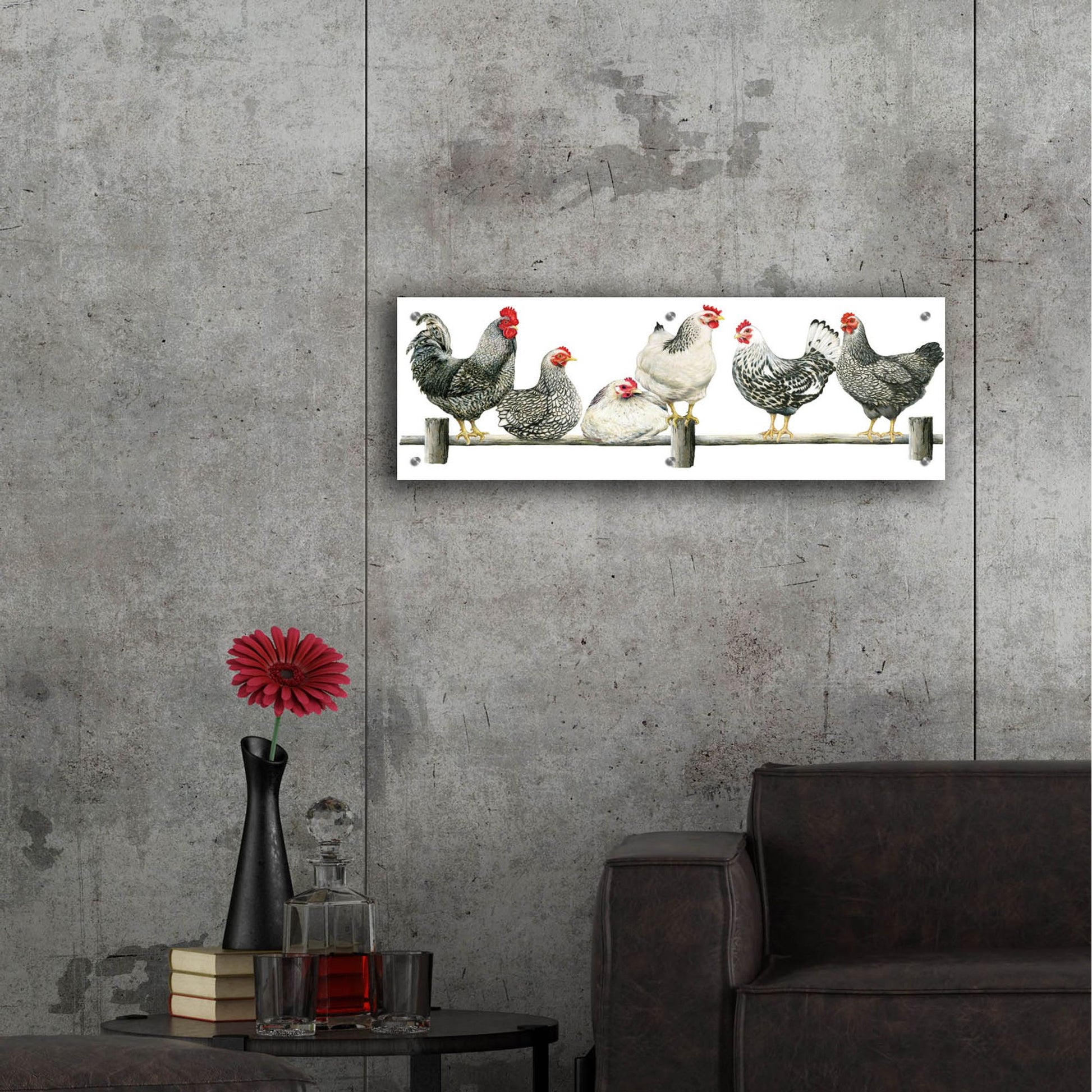 Epic Art 'Hens, White Background' by Janet Pidoux, Acrylic Glass Wall Art,36x12