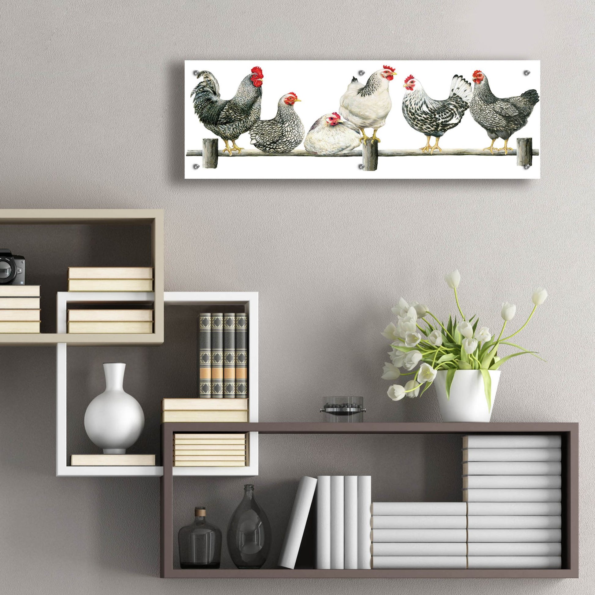 Epic Art 'Hens, White Background' by Janet Pidoux, Acrylic Glass Wall Art,36x12