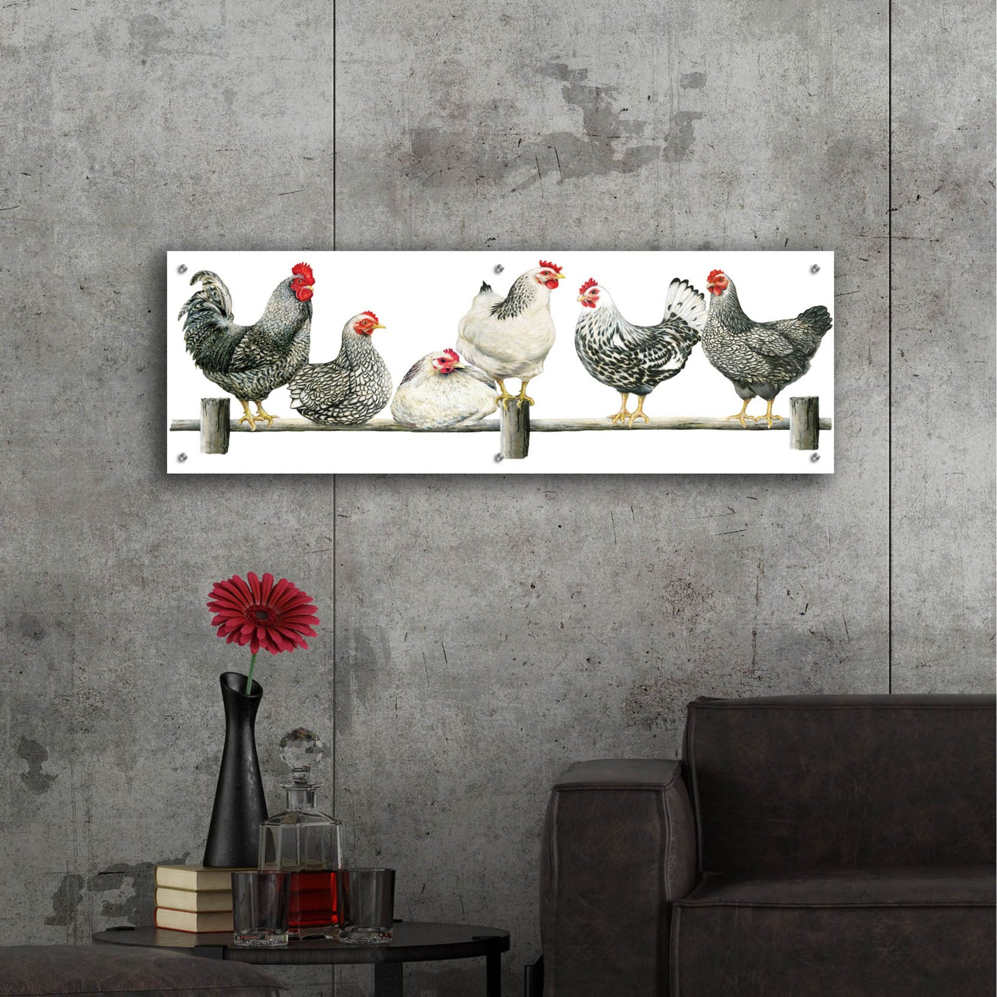 Epic Art 'Hens, White Background' by Janet Pidoux, Acrylic Glass Wall Art,48x16