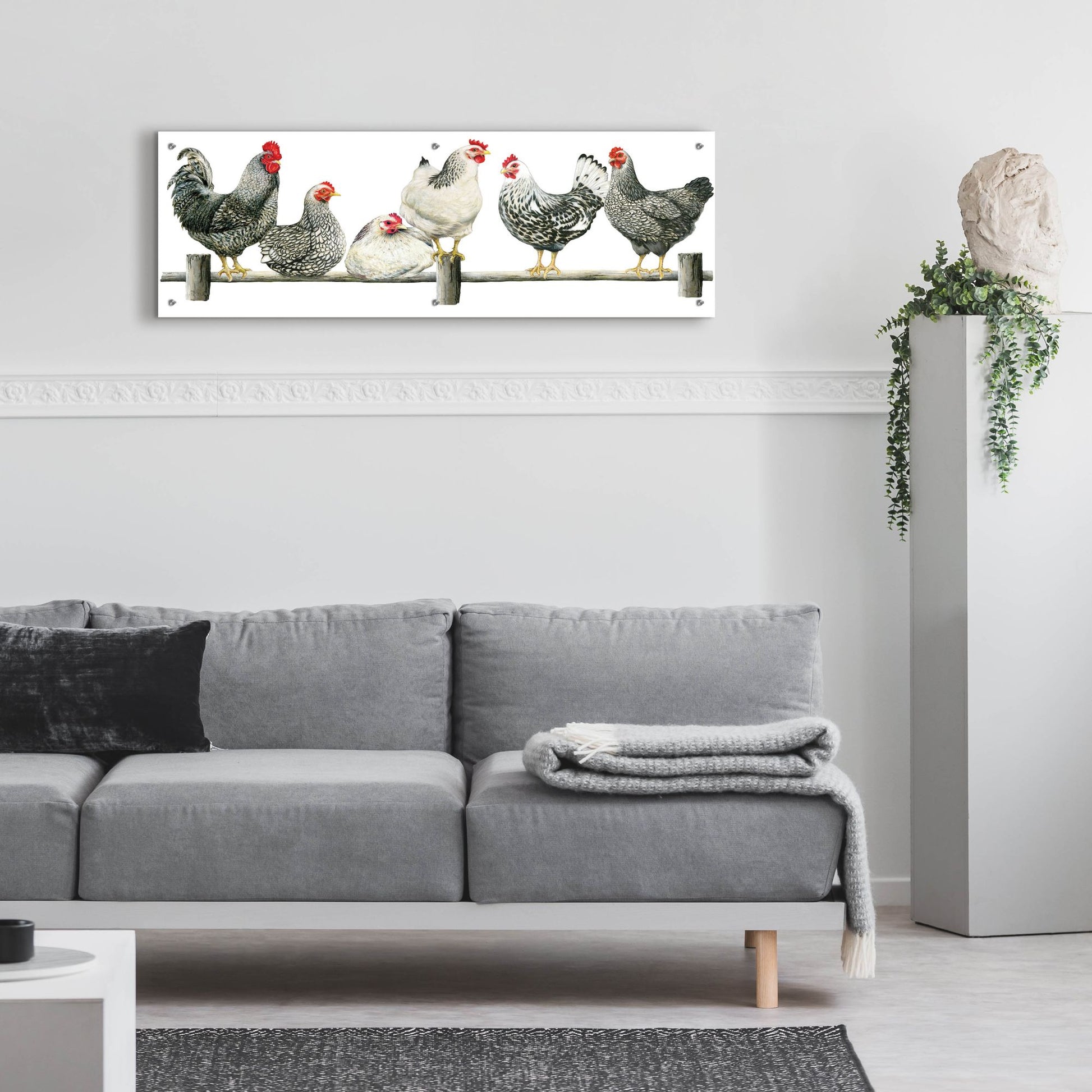 Epic Art 'Hens, White Background' by Janet Pidoux, Acrylic Glass Wall Art,48x16