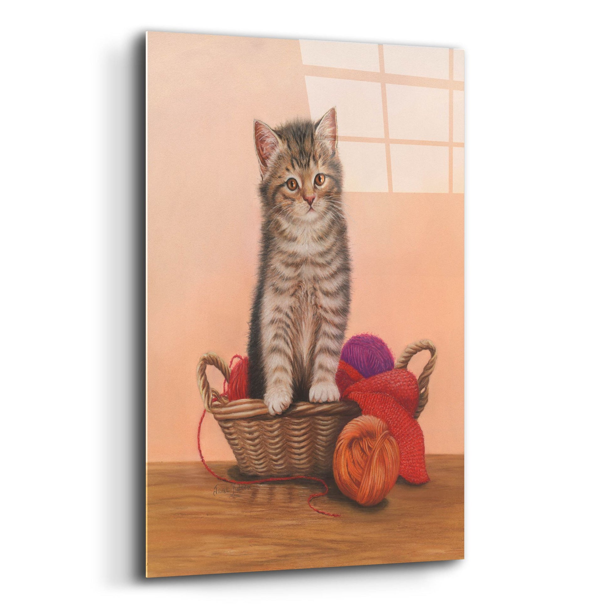 Epic Art 'Kitten And Wool Basket' by Janet Pidoux, Acrylic Glass Wall Art,12x16