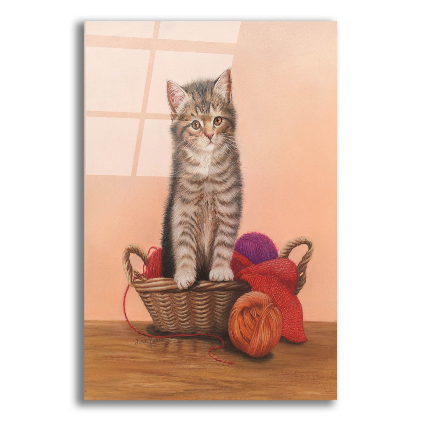 Epic Art 'Kitten And Wool Basket' by Janet Pidoux, Acrylic Glass Wall Art,12x16