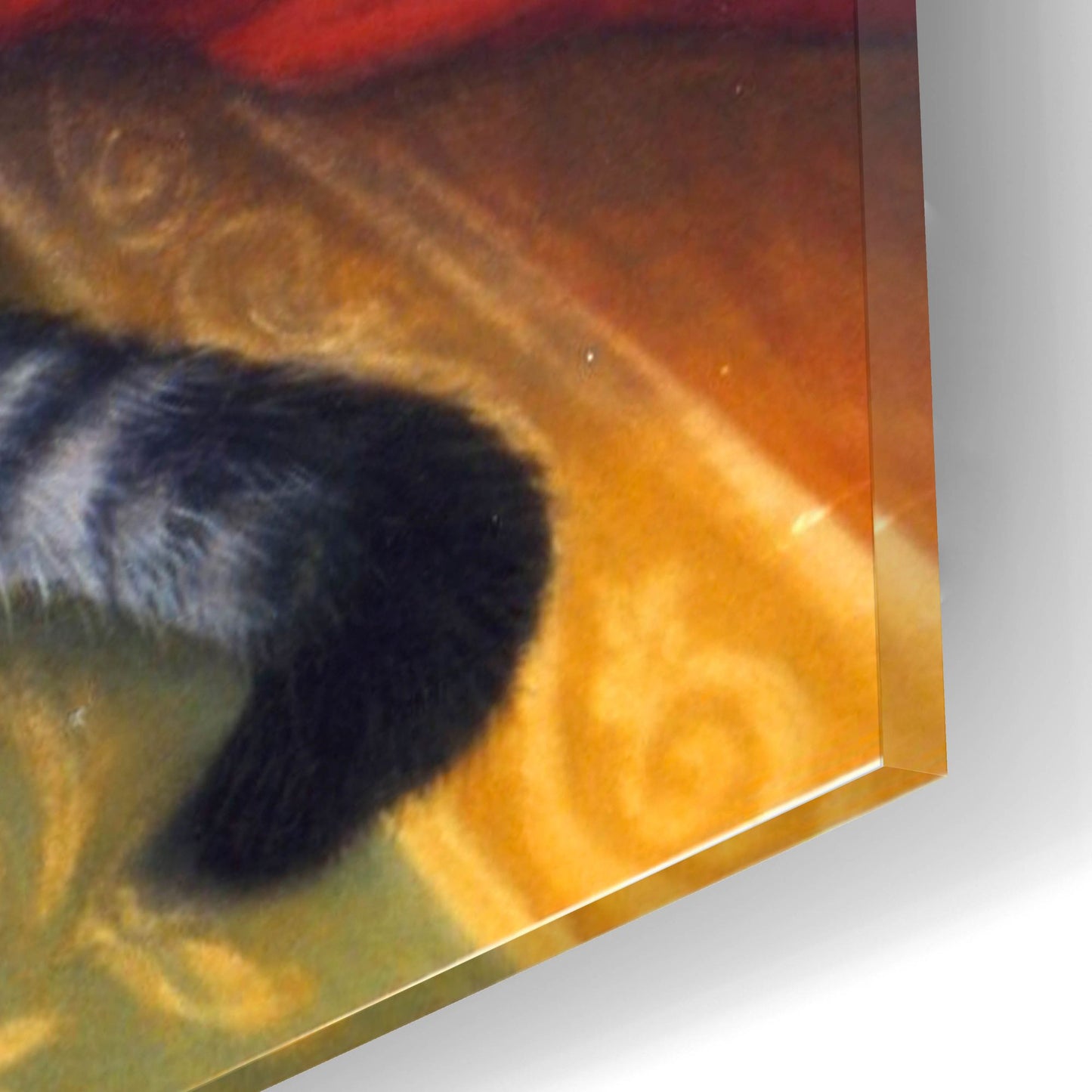 Epic Art 'Kitten, Teddy & Cushions' by Janet Pidoux, Acrylic Glass Wall Art,16x12