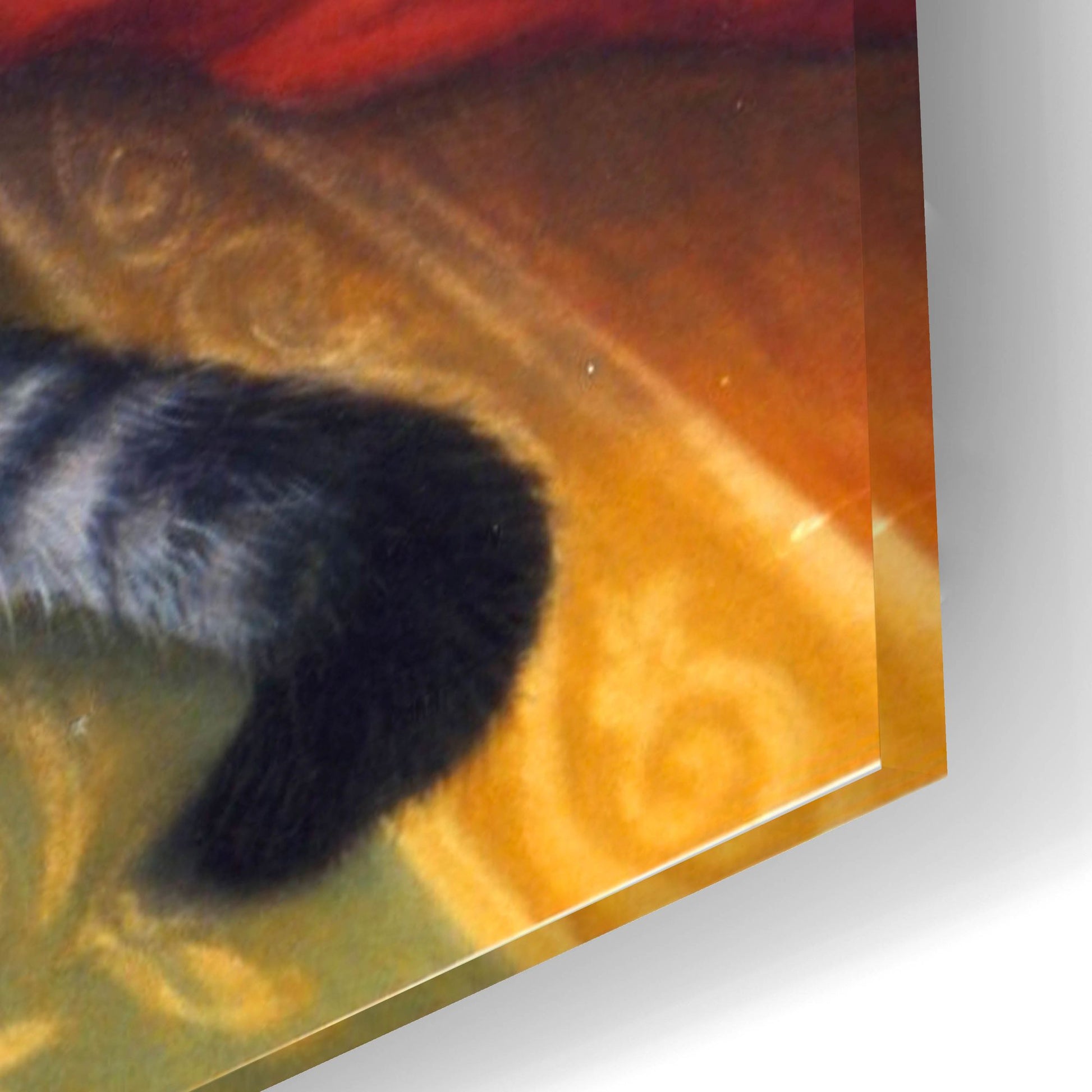 Epic Art 'Kitten, Teddy & Cushions' by Janet Pidoux, Acrylic Glass Wall Art,24x16