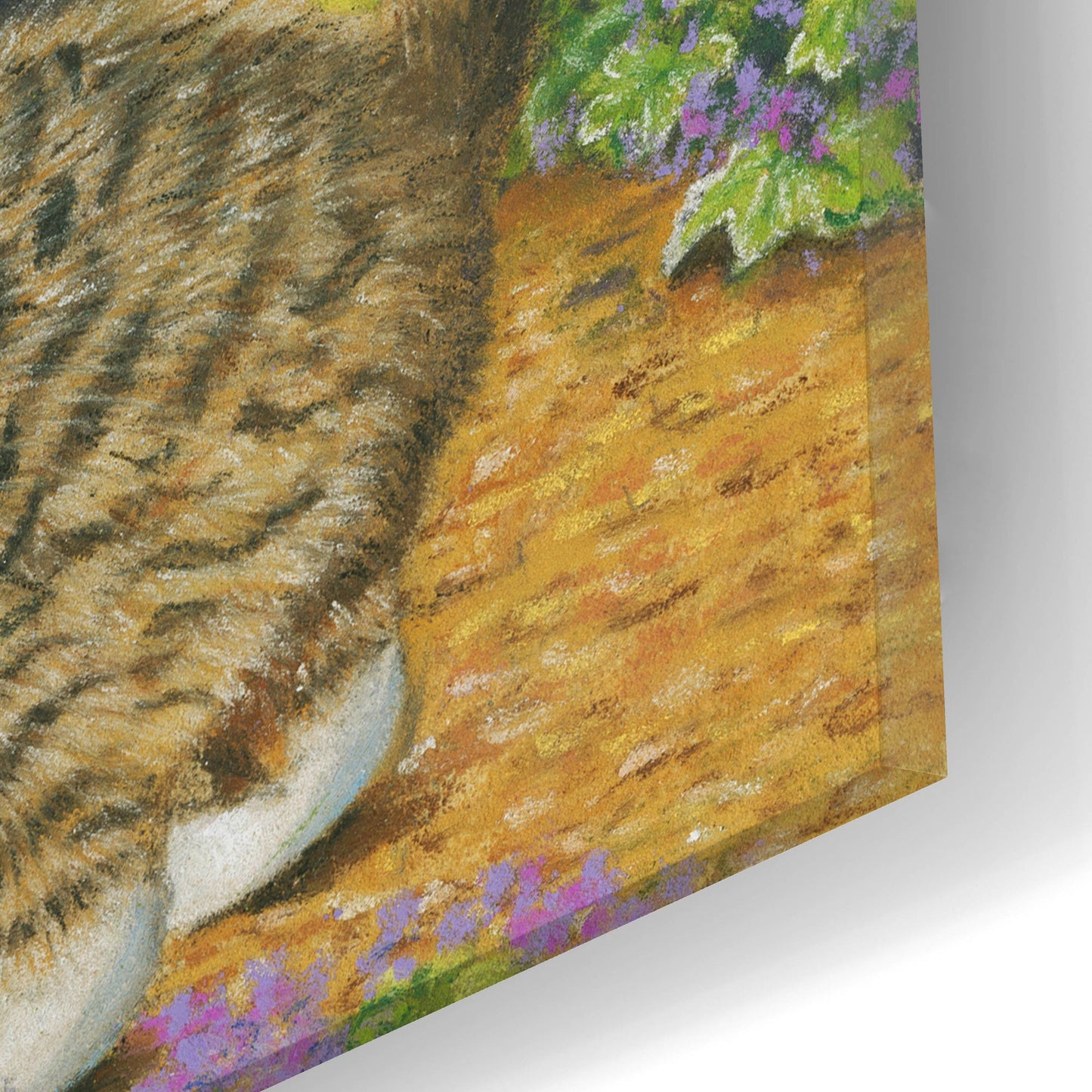 Epic Art 'Kittens And Butterflies' by Janet Pidoux, Acrylic Glass Wall Art,24x12