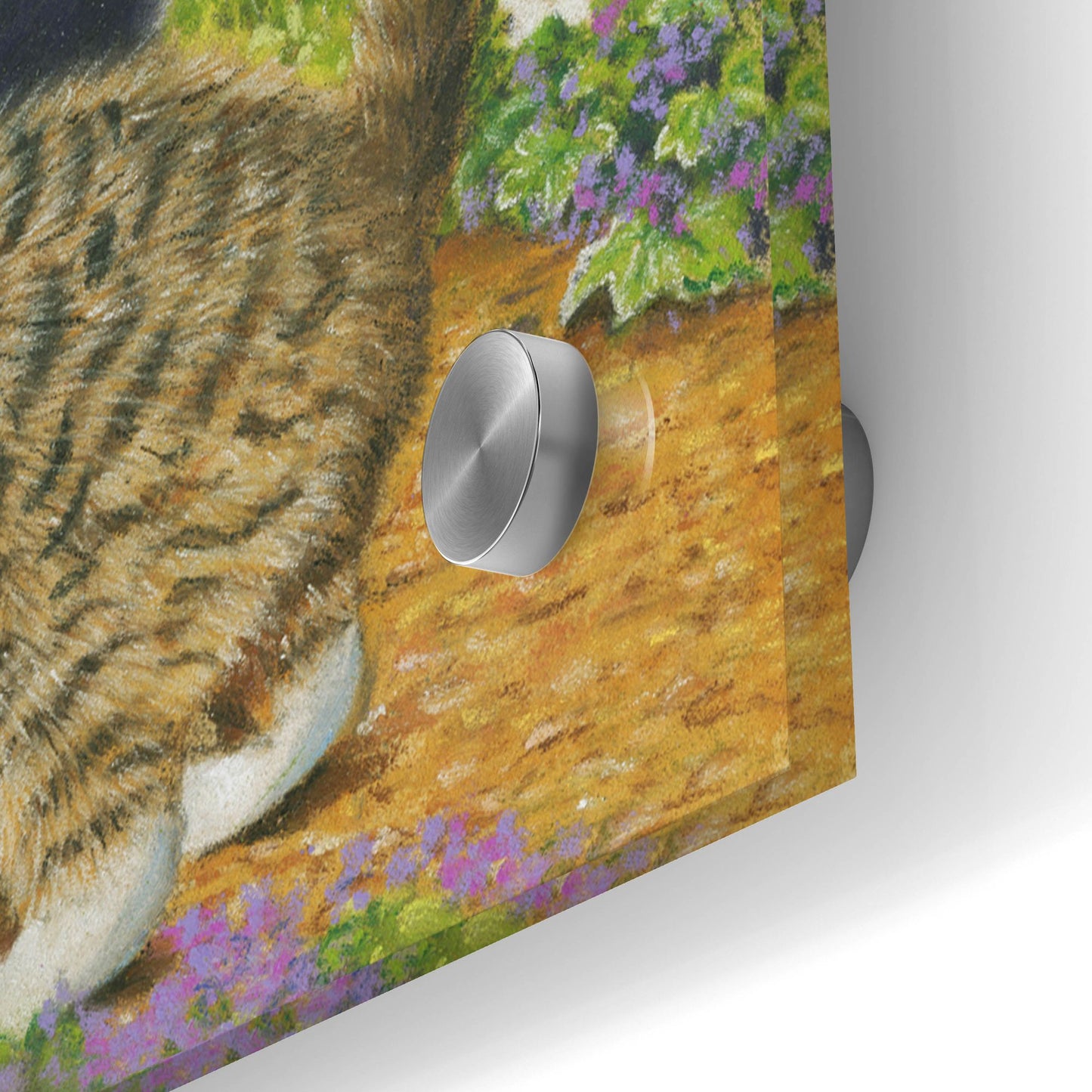 Epic Art 'Kittens And Butterflies' by Janet Pidoux, Acrylic Glass Wall Art,48x24